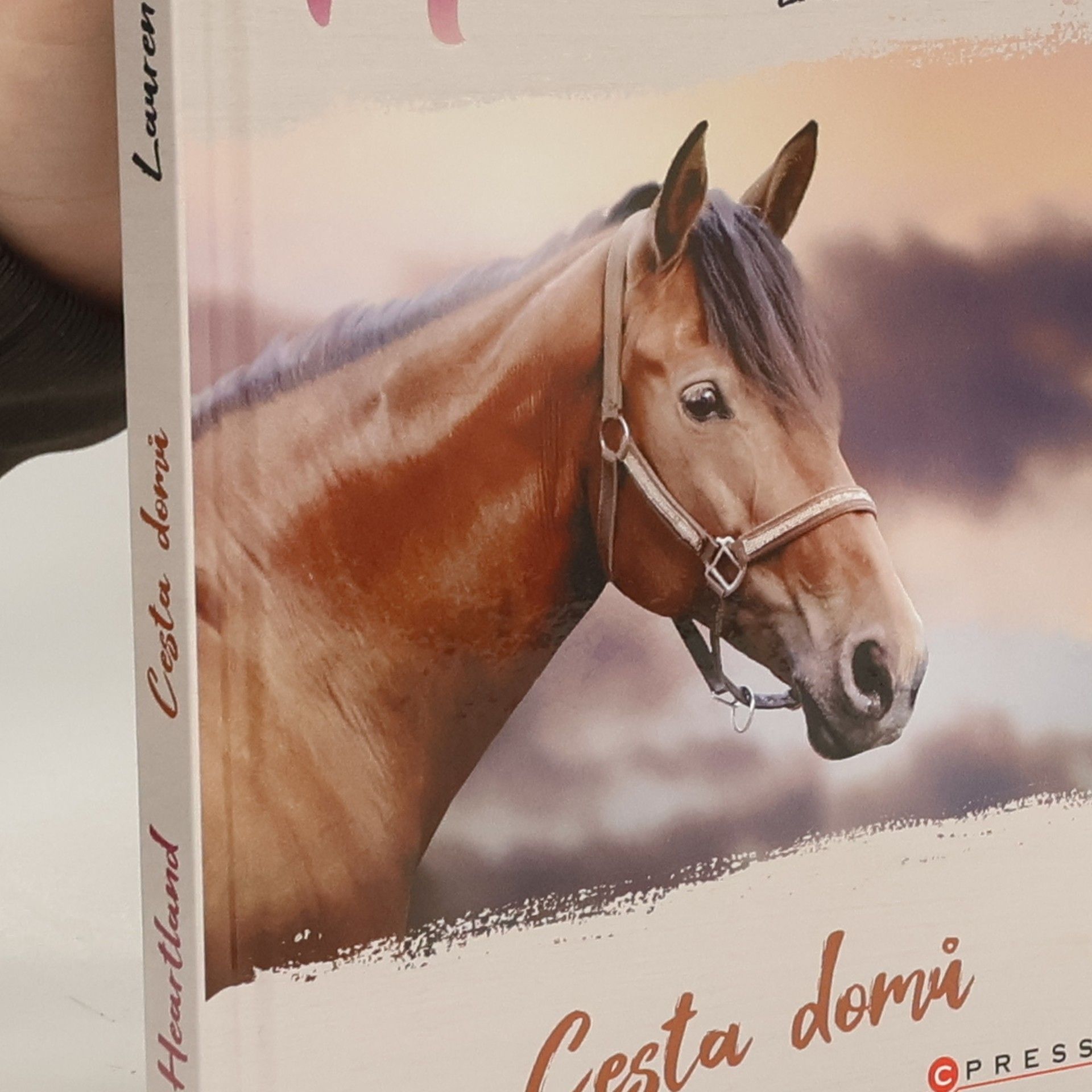 Linda Chapman Cesta domů