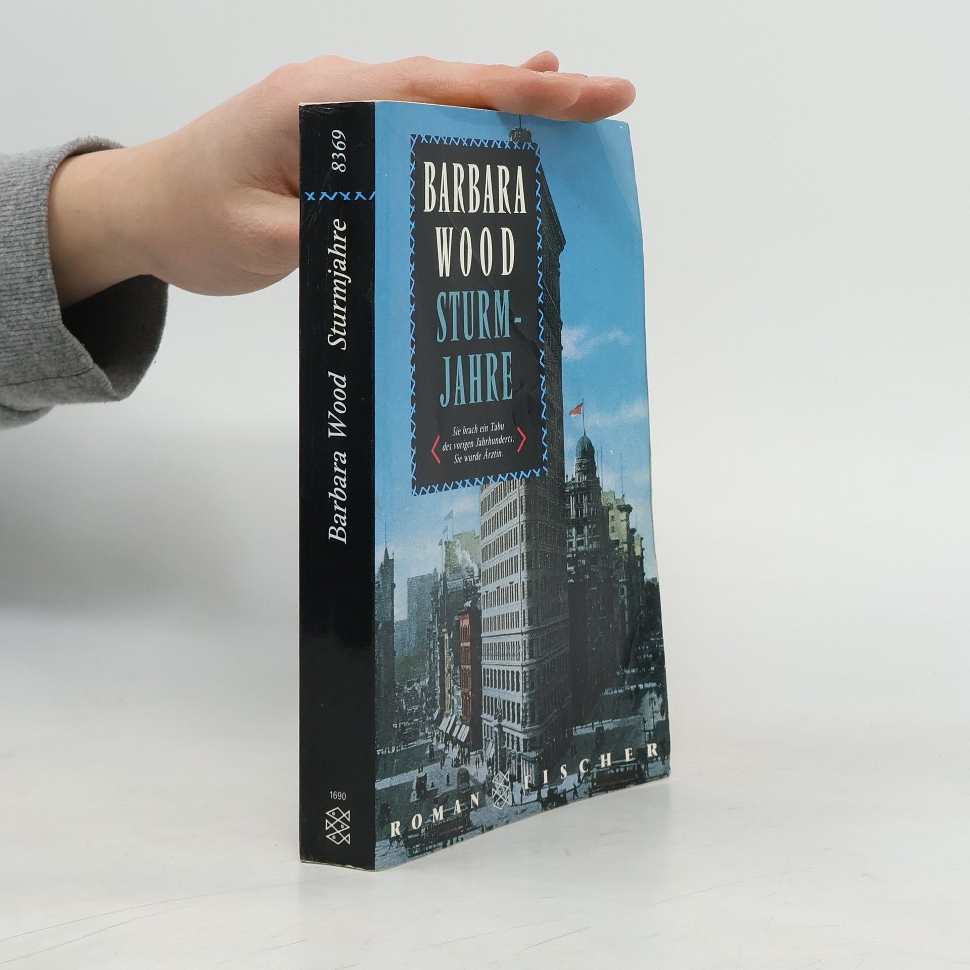 Barbara Wood Sturmjahre
