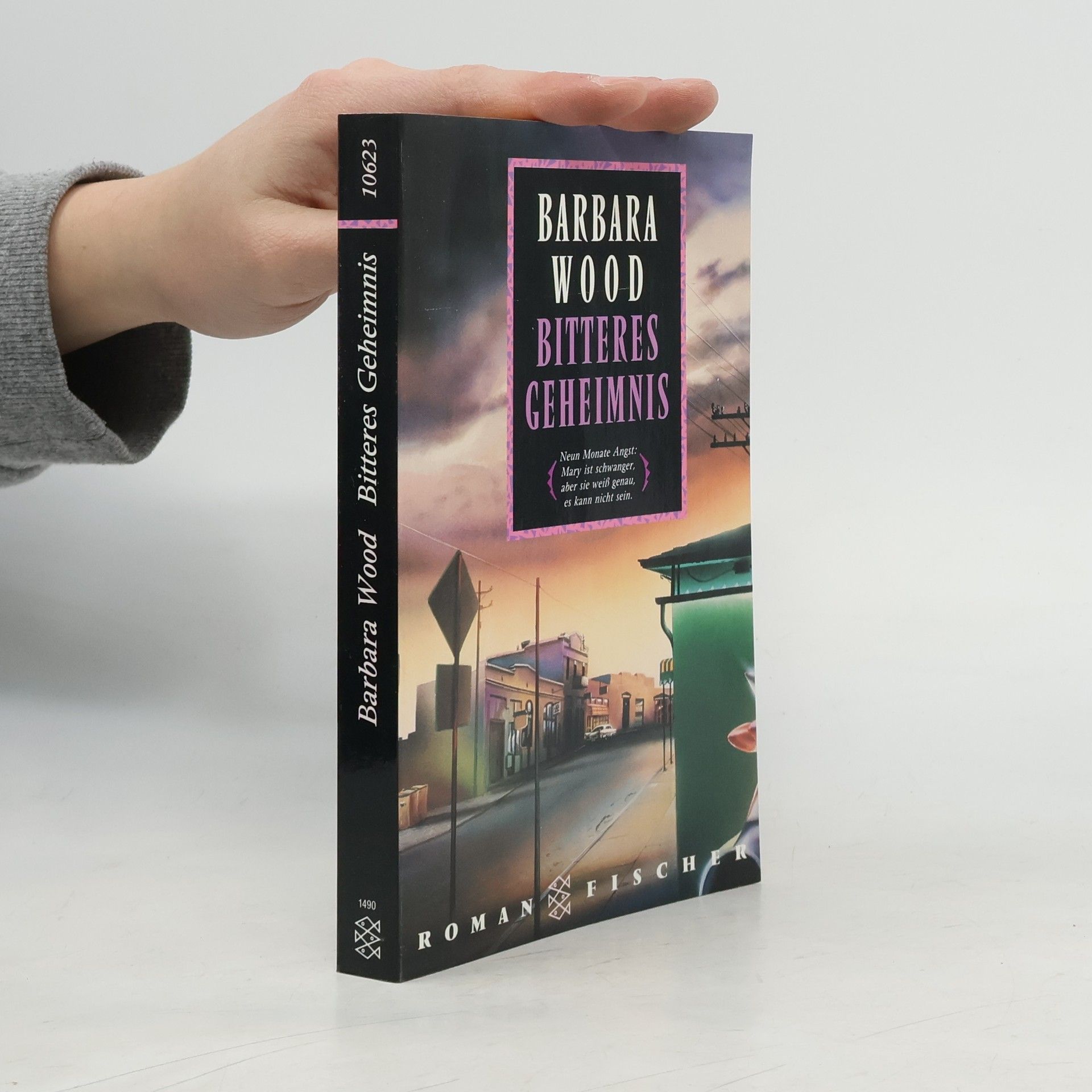 Barbara Wood Bitteres Geheimnis