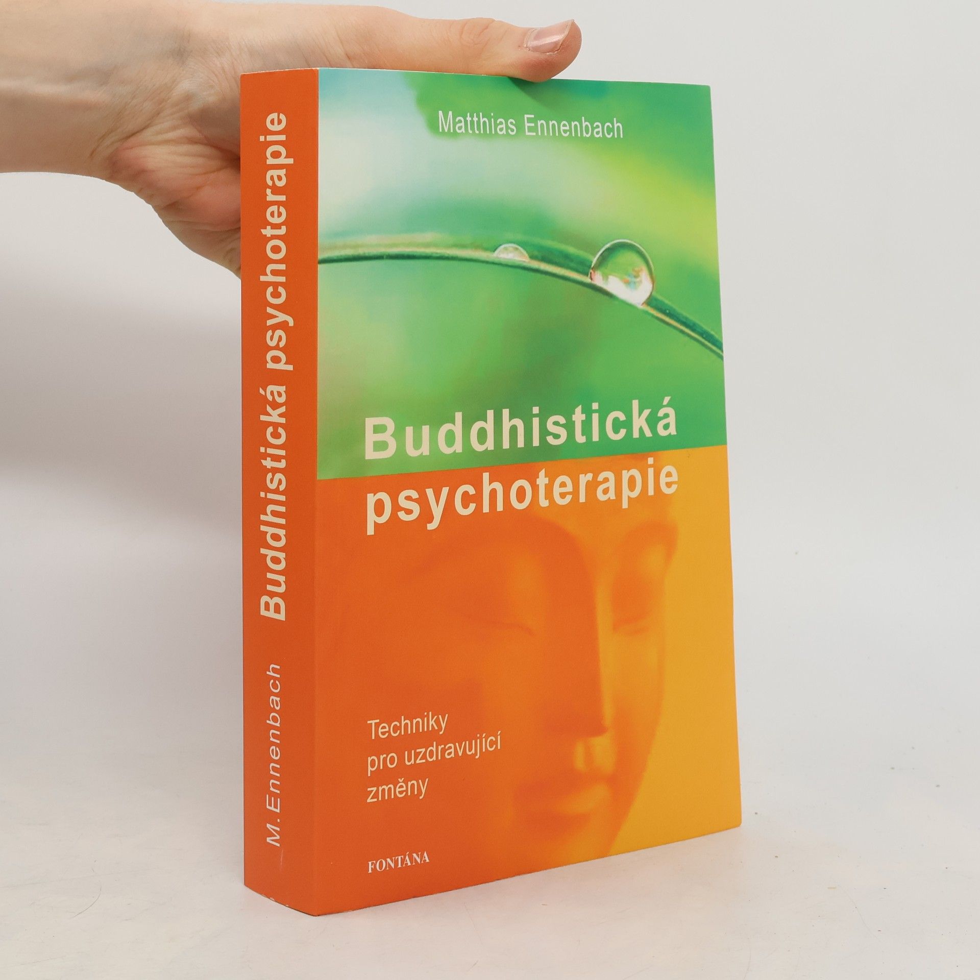 Matthias Ennenbach Buddhistická psychoterapie - Techniky pro uzdravující změny