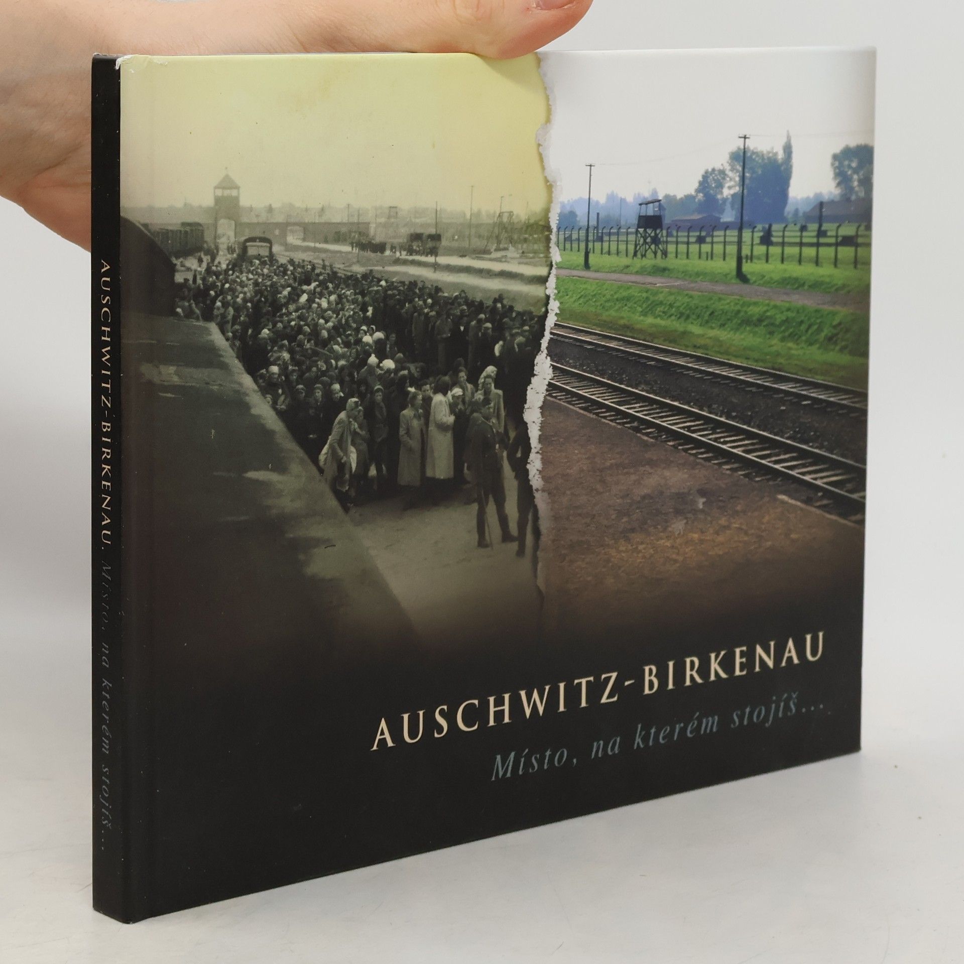 Collectif d'auteurs Auschwitz-Birkenau : místo, na kterém stojíš...