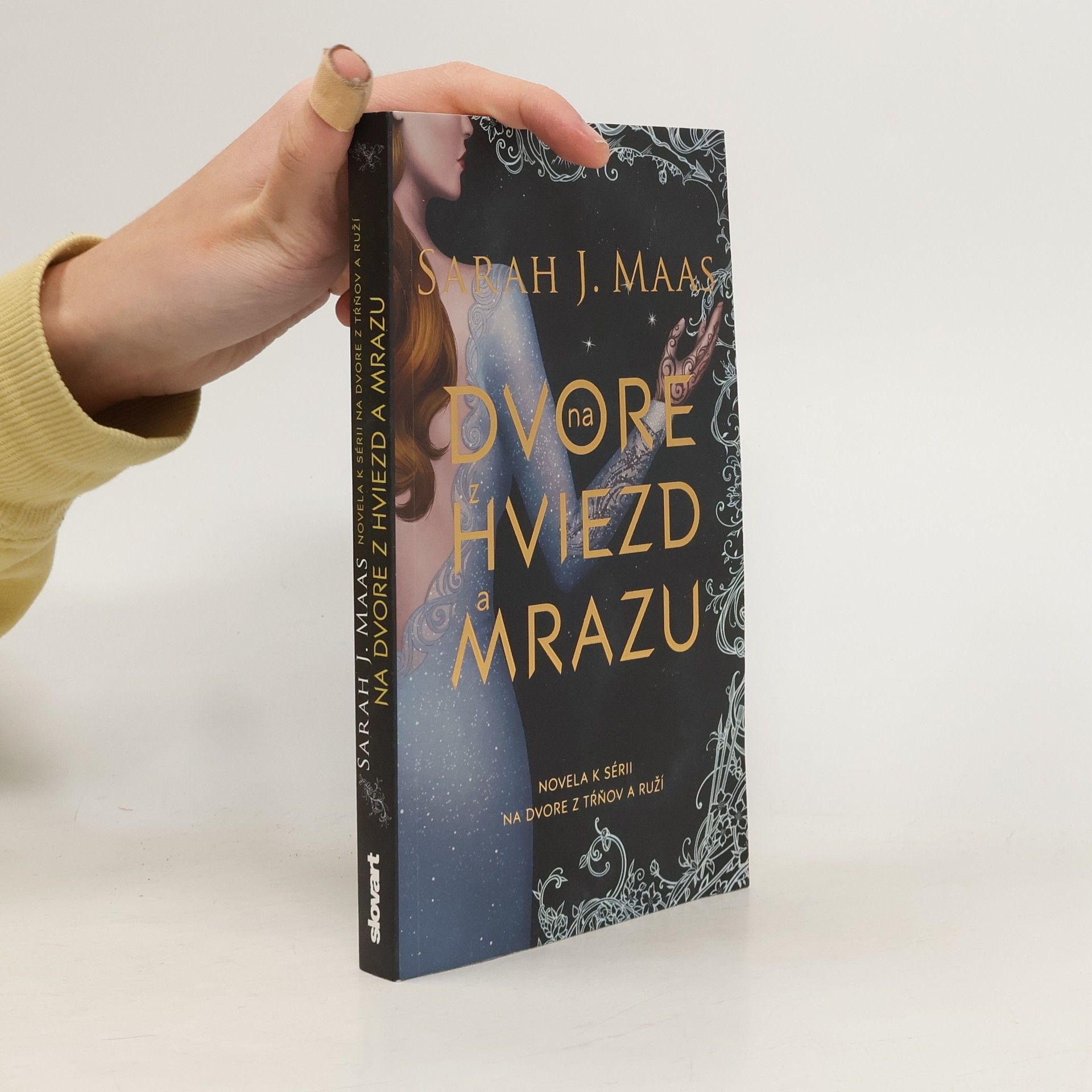 Sarah J. Maas Na dvore z hviezd a mrazu