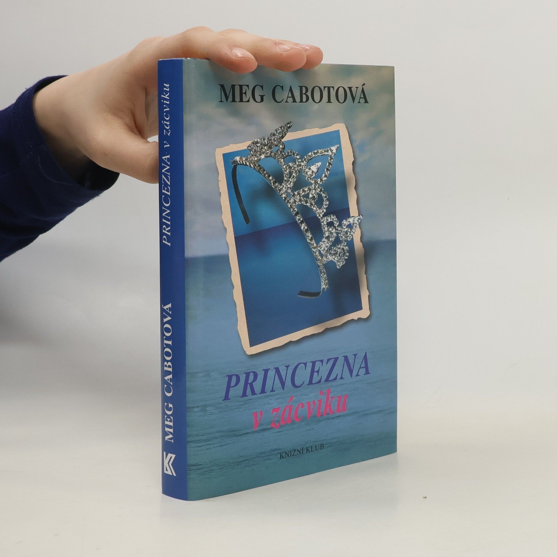Meg Cabot Princezna v zácviku