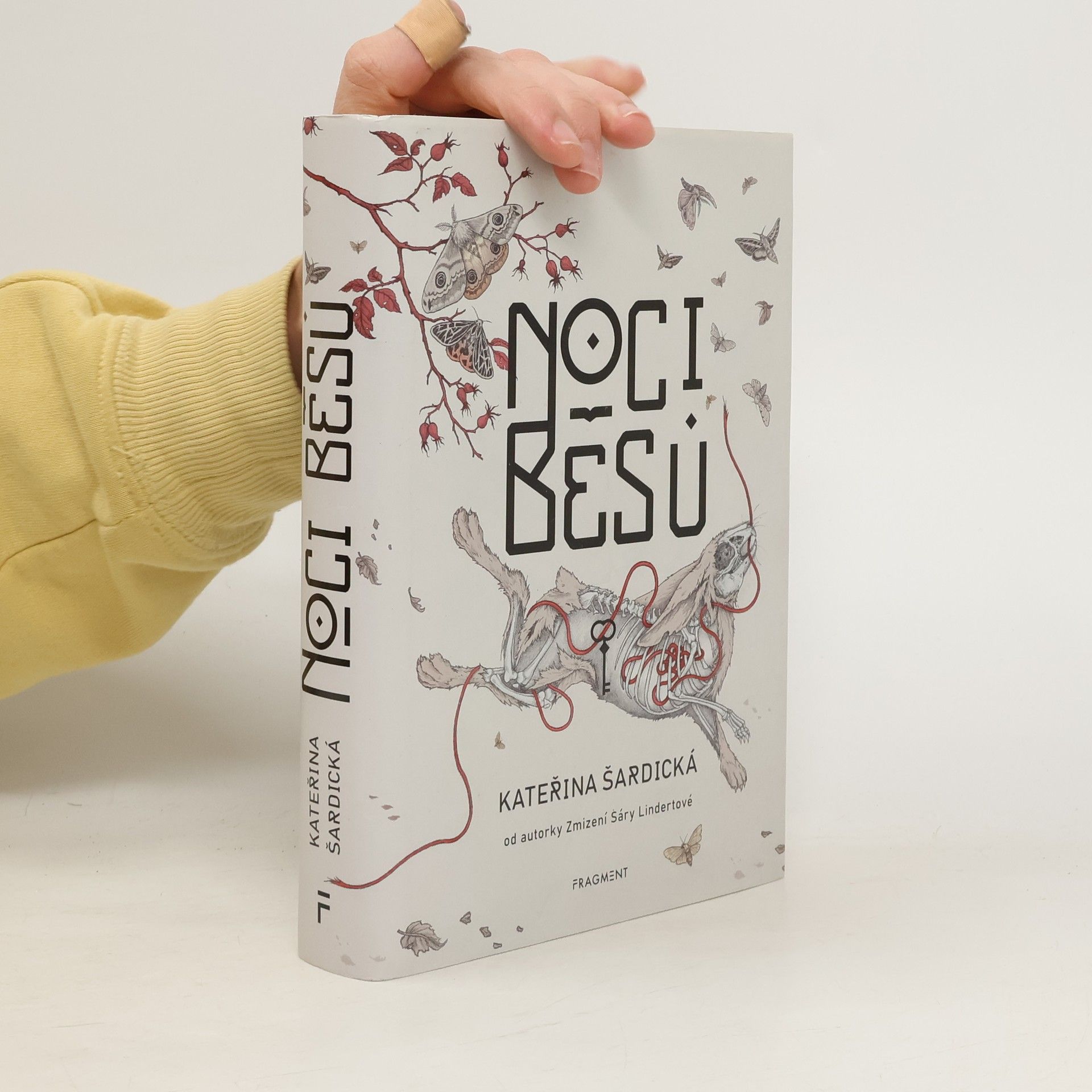 Kateřina Šardická Noci běsů