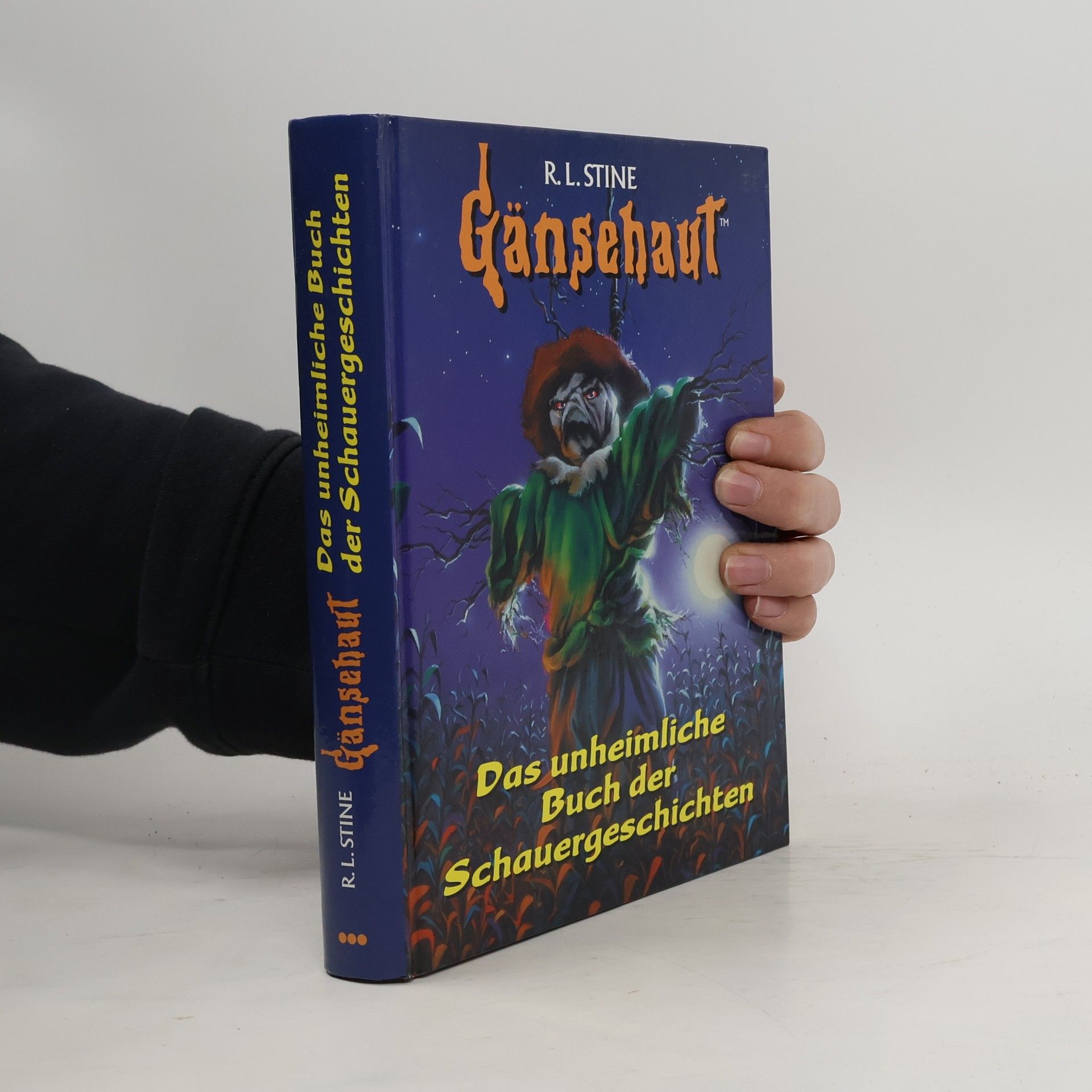 R. L. Stine Gänsehaut. Das unheimliche Buch der Schauergeschichten