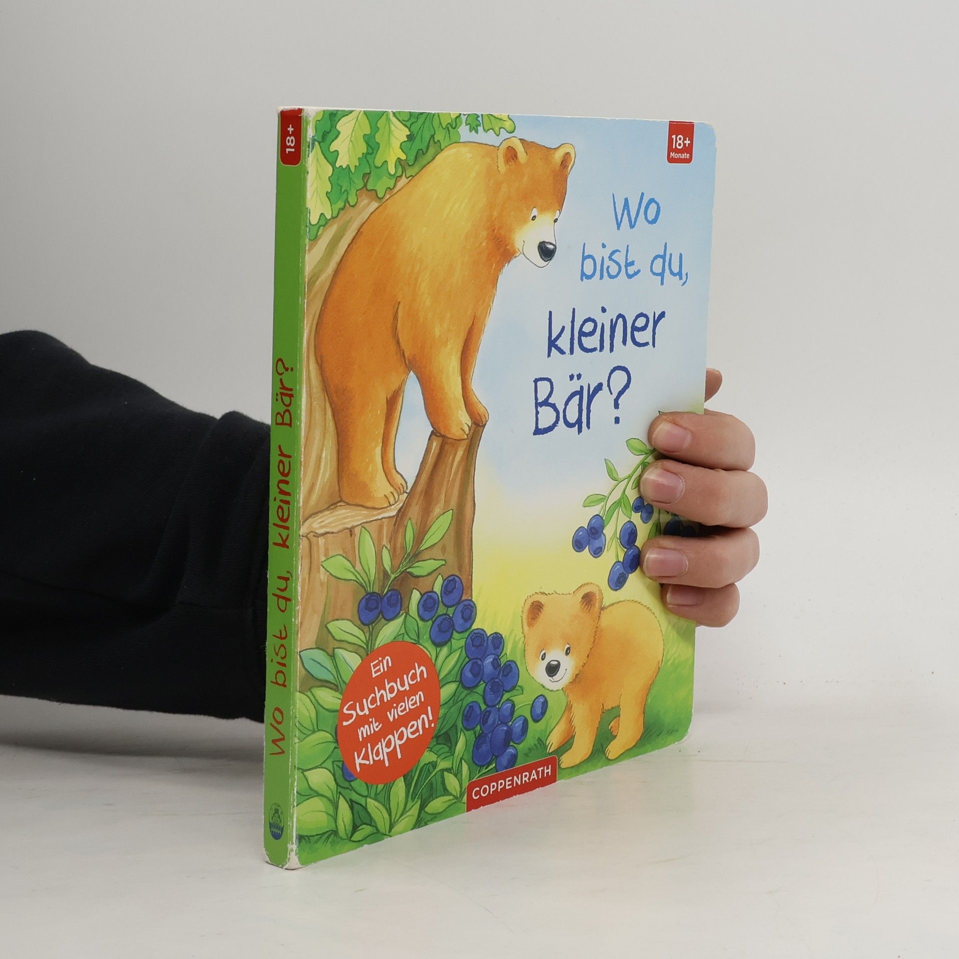 Florian Ahle Wo bist du, kleiner Bär? - Ab 18 Monate