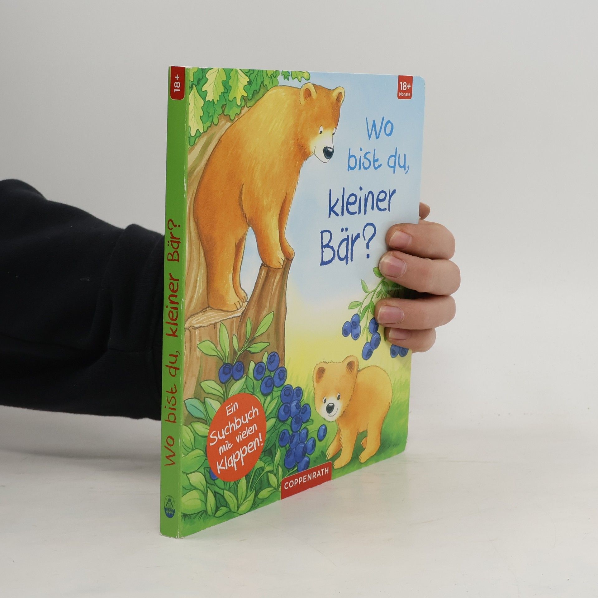 Florian Ahle Wo bist du, kleiner Bär?