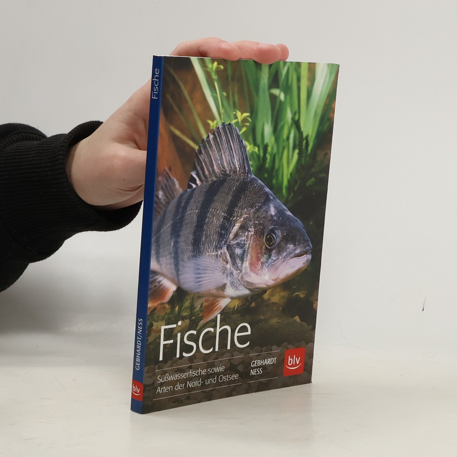 BLV Angelpraxis: Fische