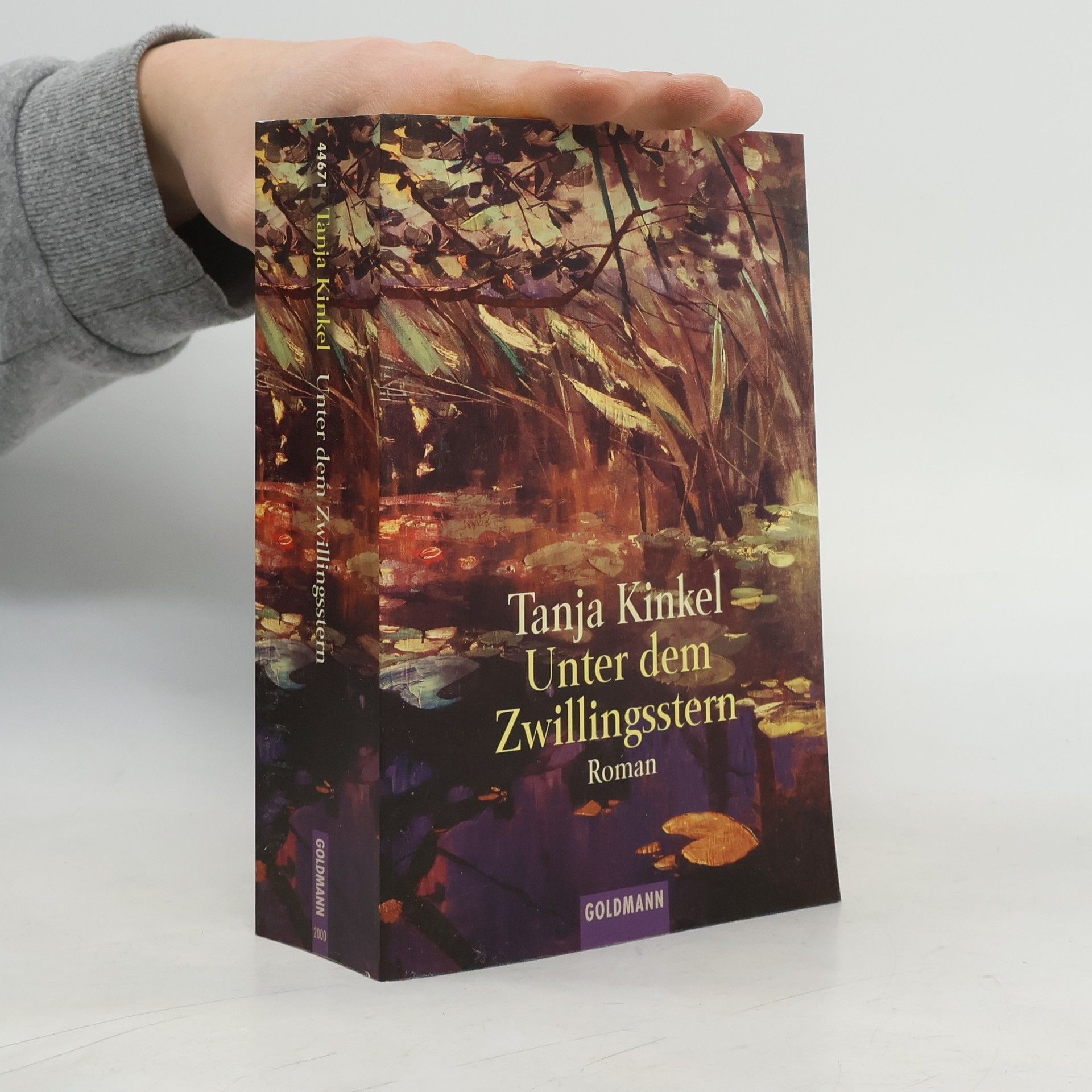Tanja Kinkel Unter dem Zwillingsstern