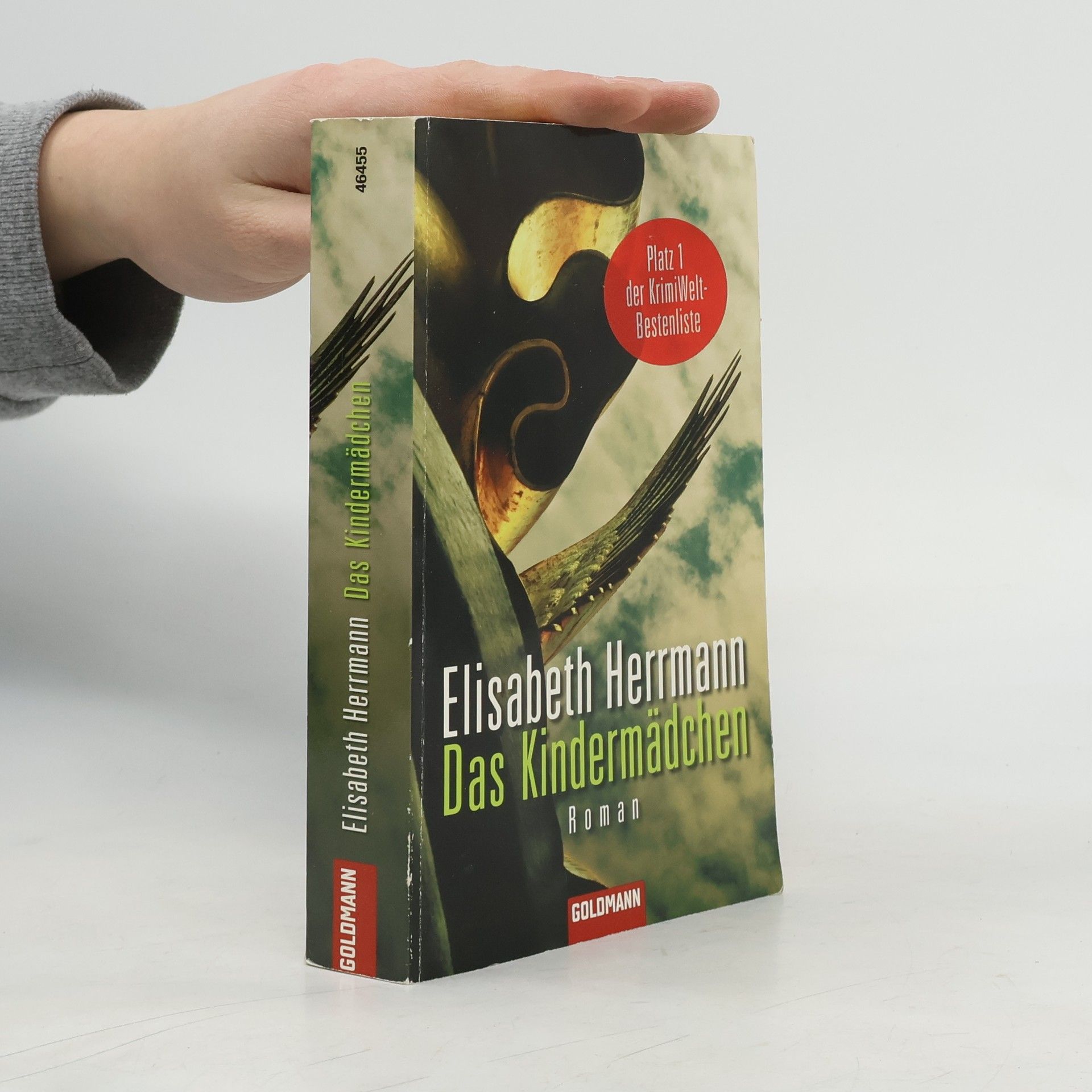 Elisabeth Hermann Das Kindermädchen