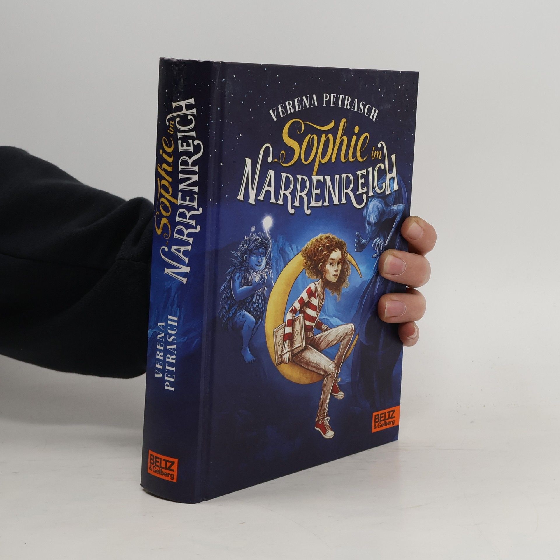 Sophie im Narrenreich