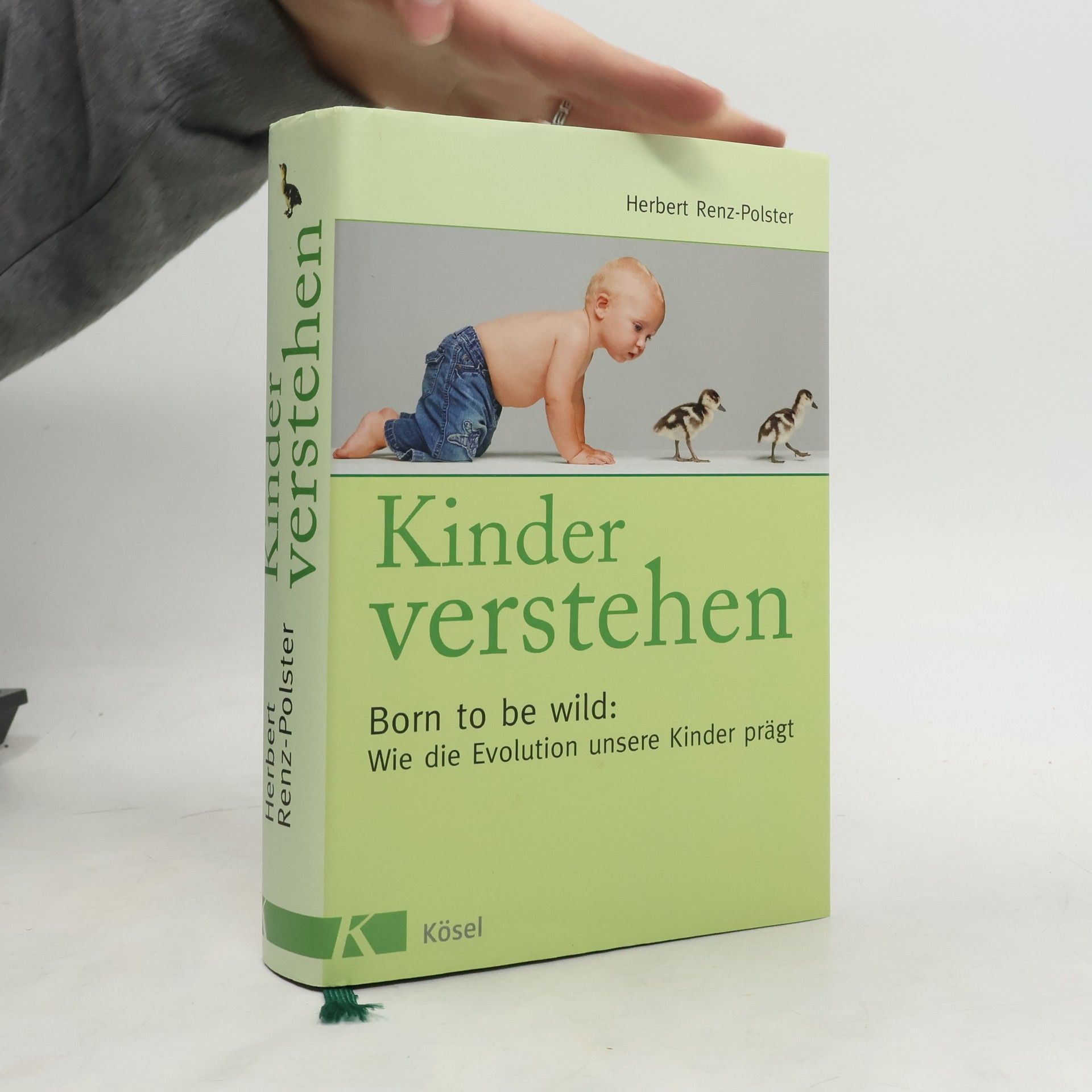 Herbert Renz-Polster Kinder verstehen