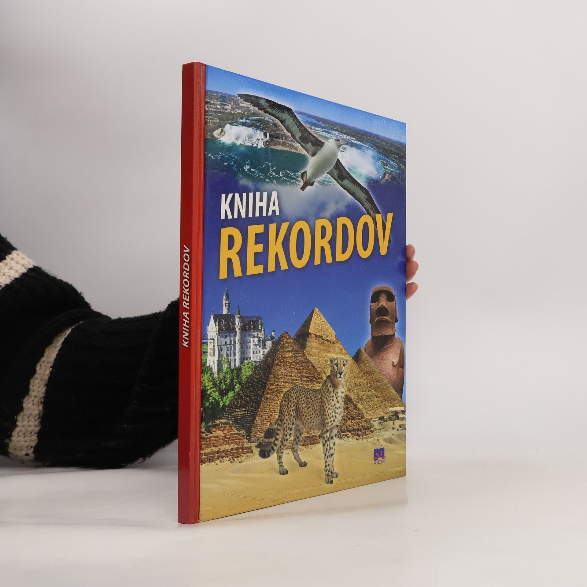 Auteurscollectief Kniha rekordov