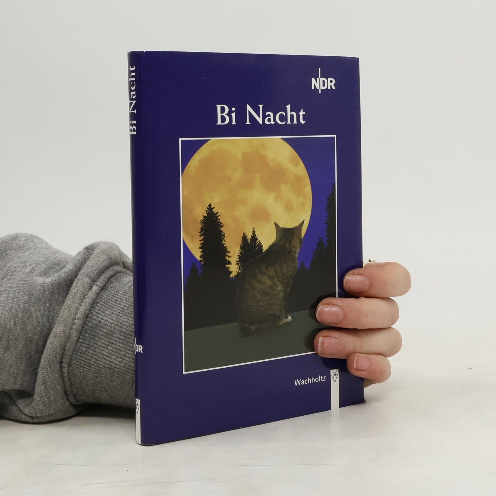 Hartmut Cyriacks Bi Nacht