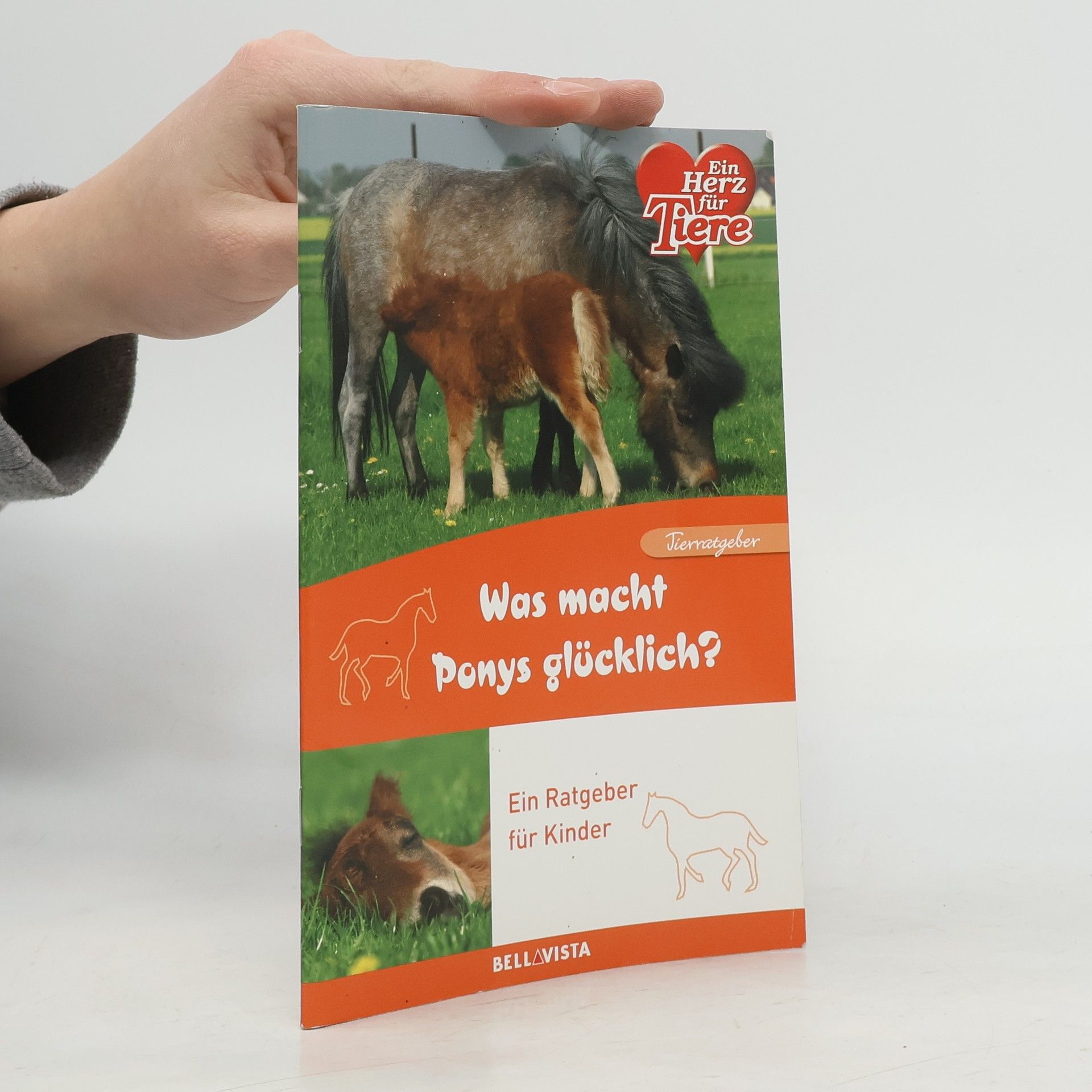 Ulrike Gerold Was macht Ponys glücklich?