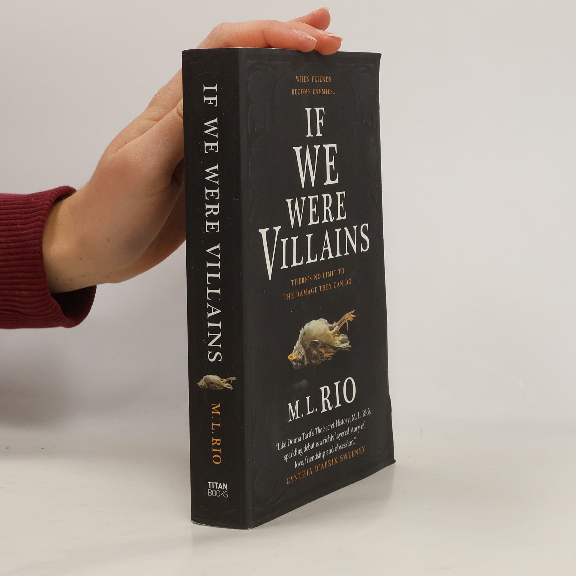 M. L. Rio If We Were Villains