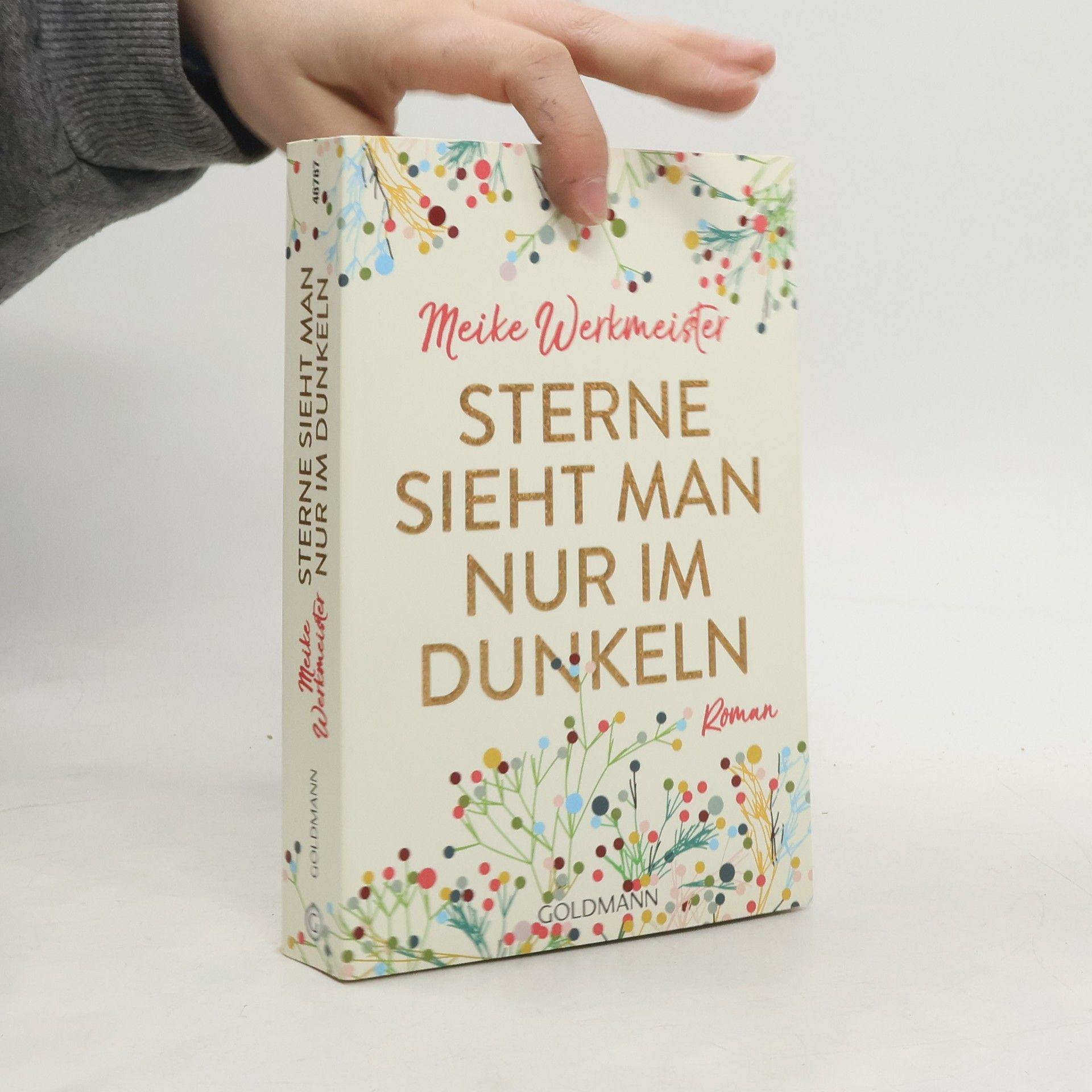 Meike Werkmeister Sterne sieht man nur im Dunkeln