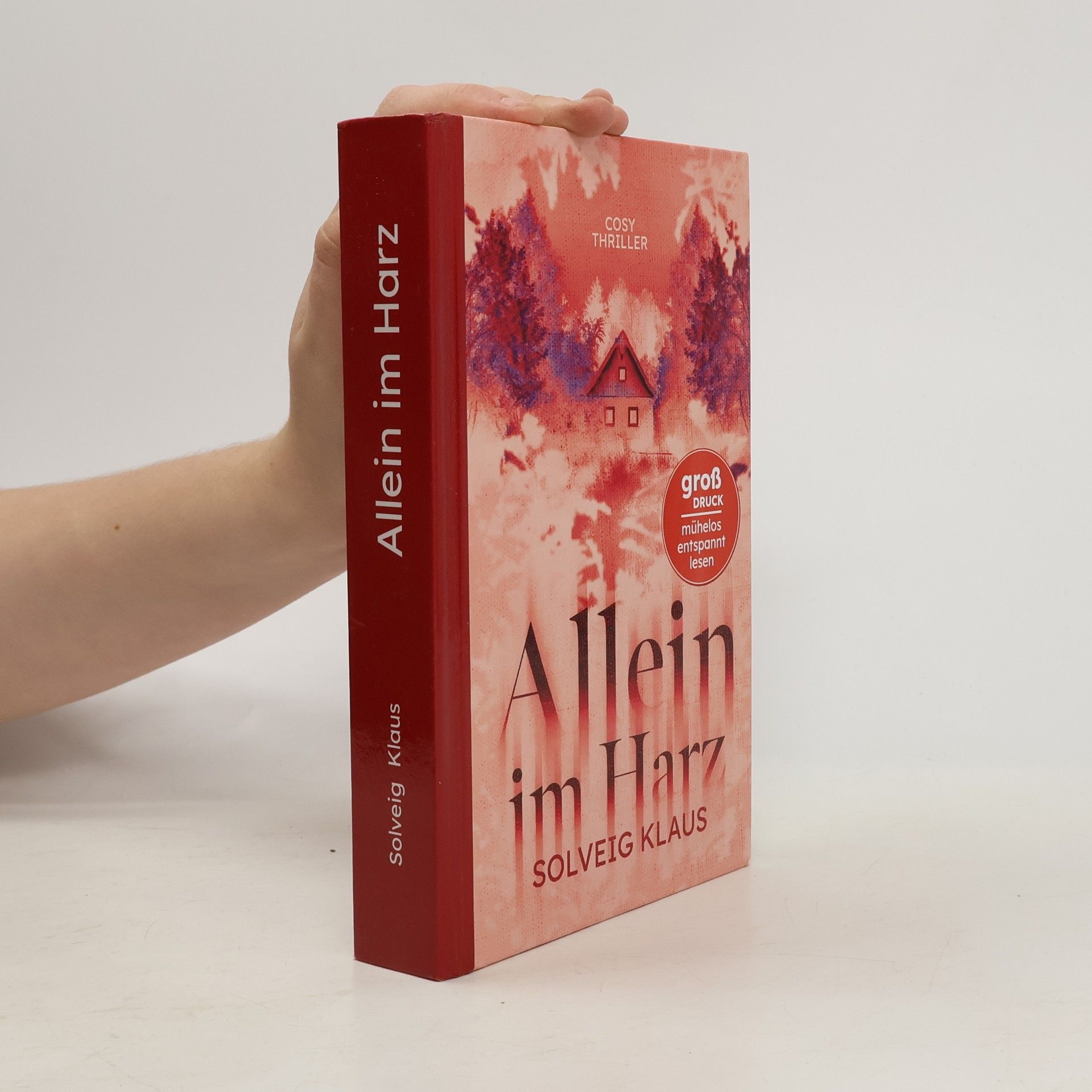 Solveig Klaus Allein im Harz