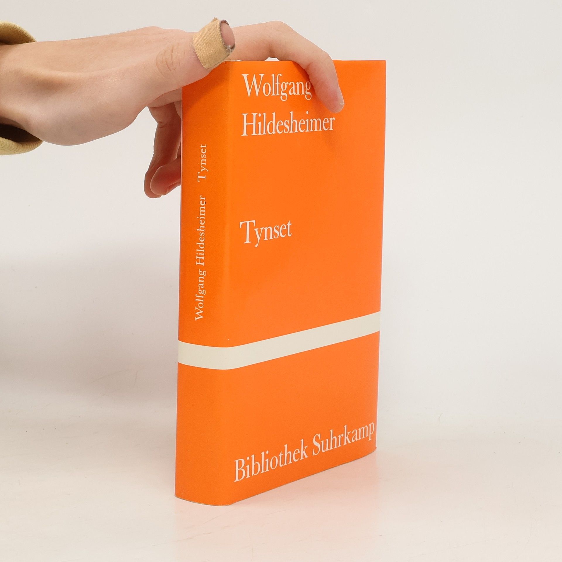 Wolfgang Hildesheimer Tynset