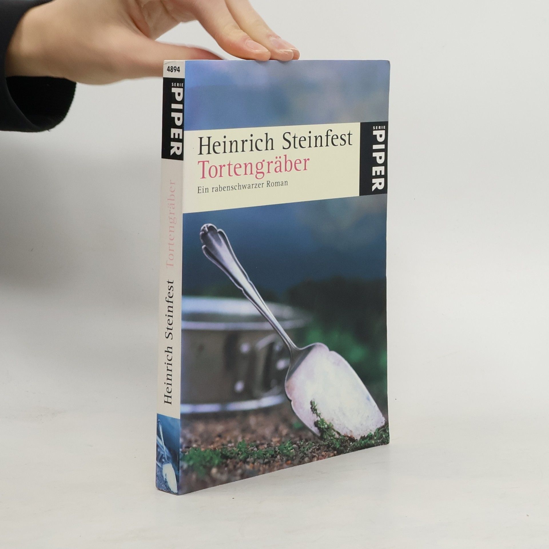 Heinrich Steinfest Tortengräber