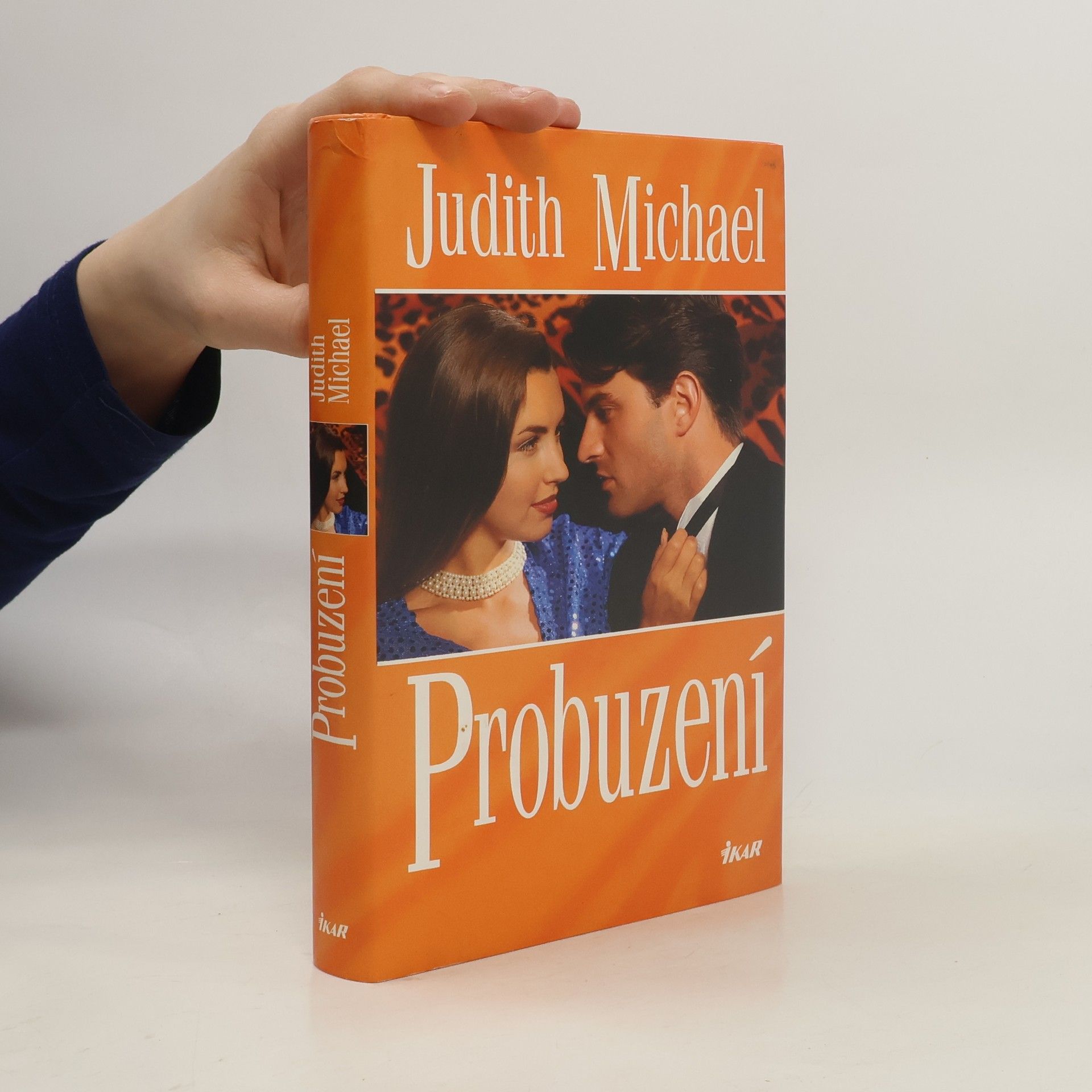 Judith Michael Probuzení