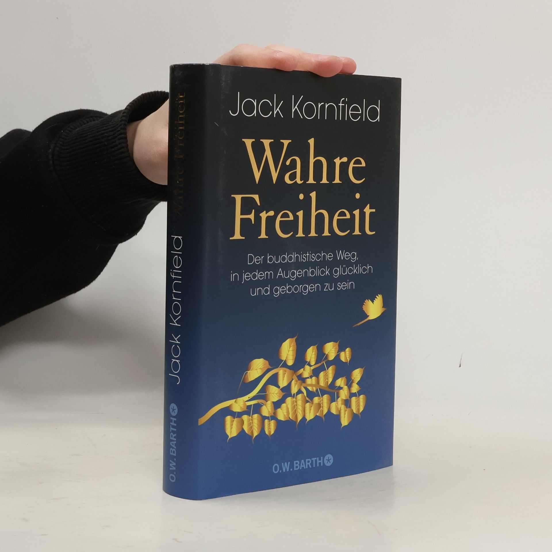 Jack Kornfield Wahre Freiheit