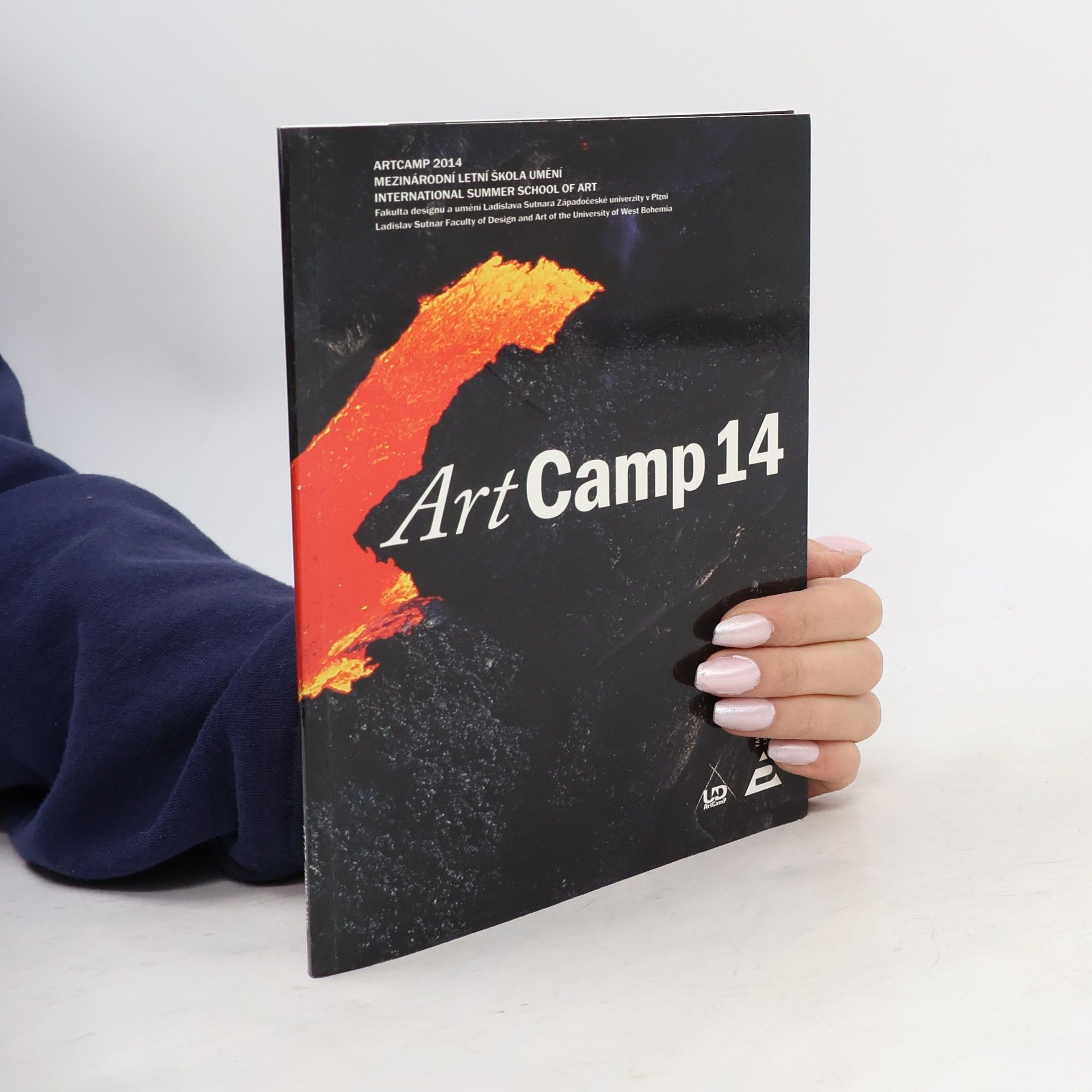 Kolektív autorov International Summer School of Art 2011