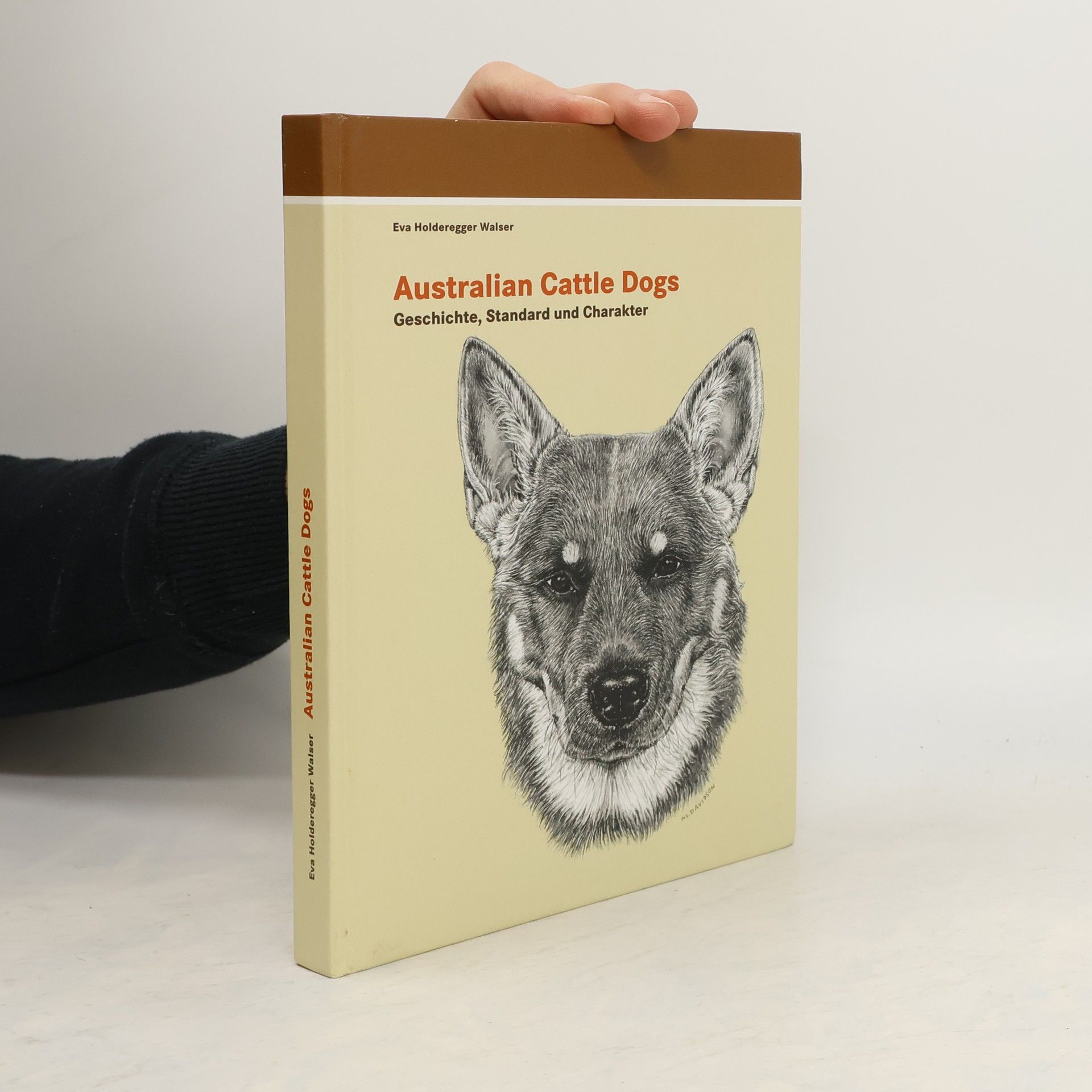 Eva Holderegger Walser Australian Cattle Dogs