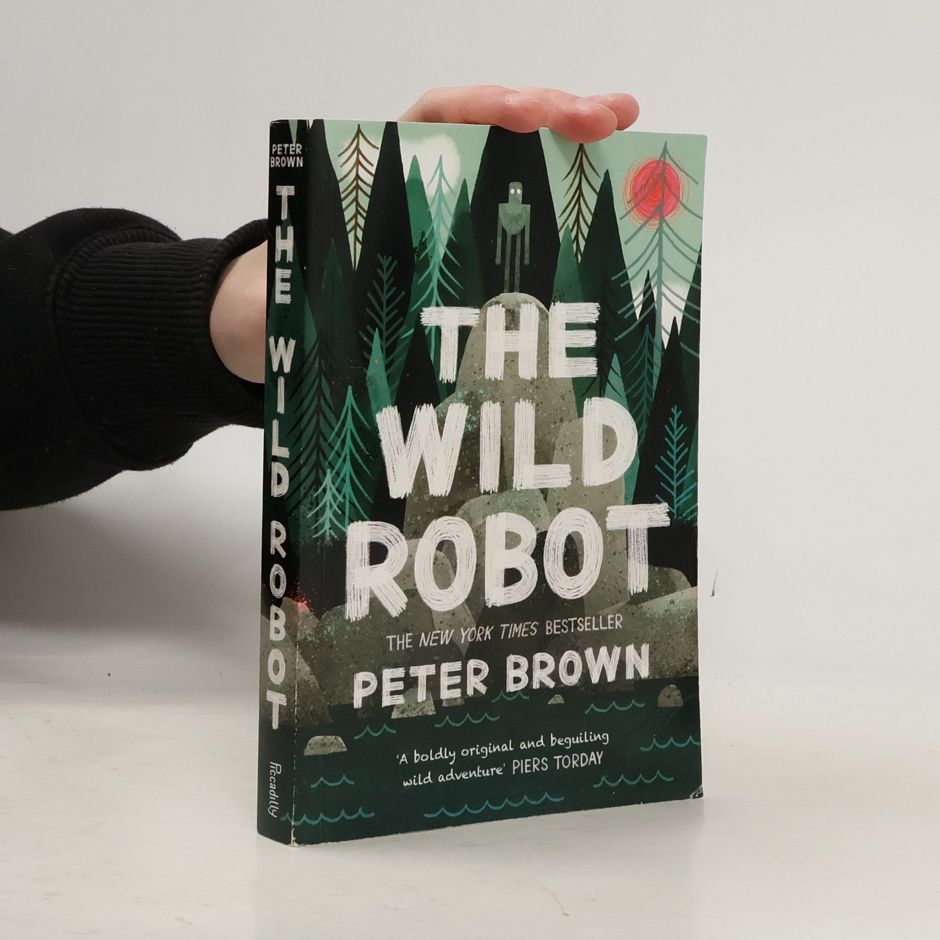 Peter Brown The Wild Robot