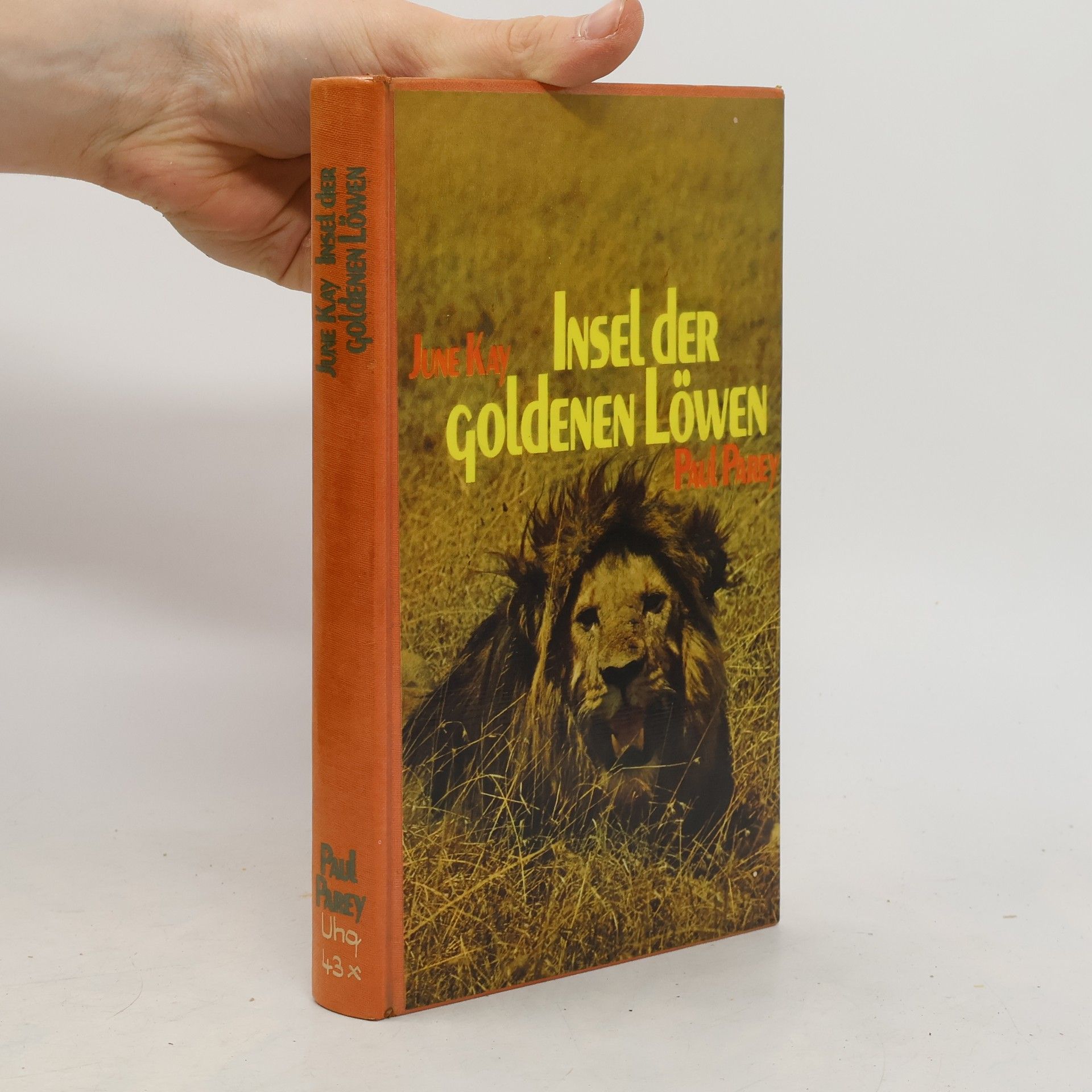 June Kay Insel der goldenen Löwen