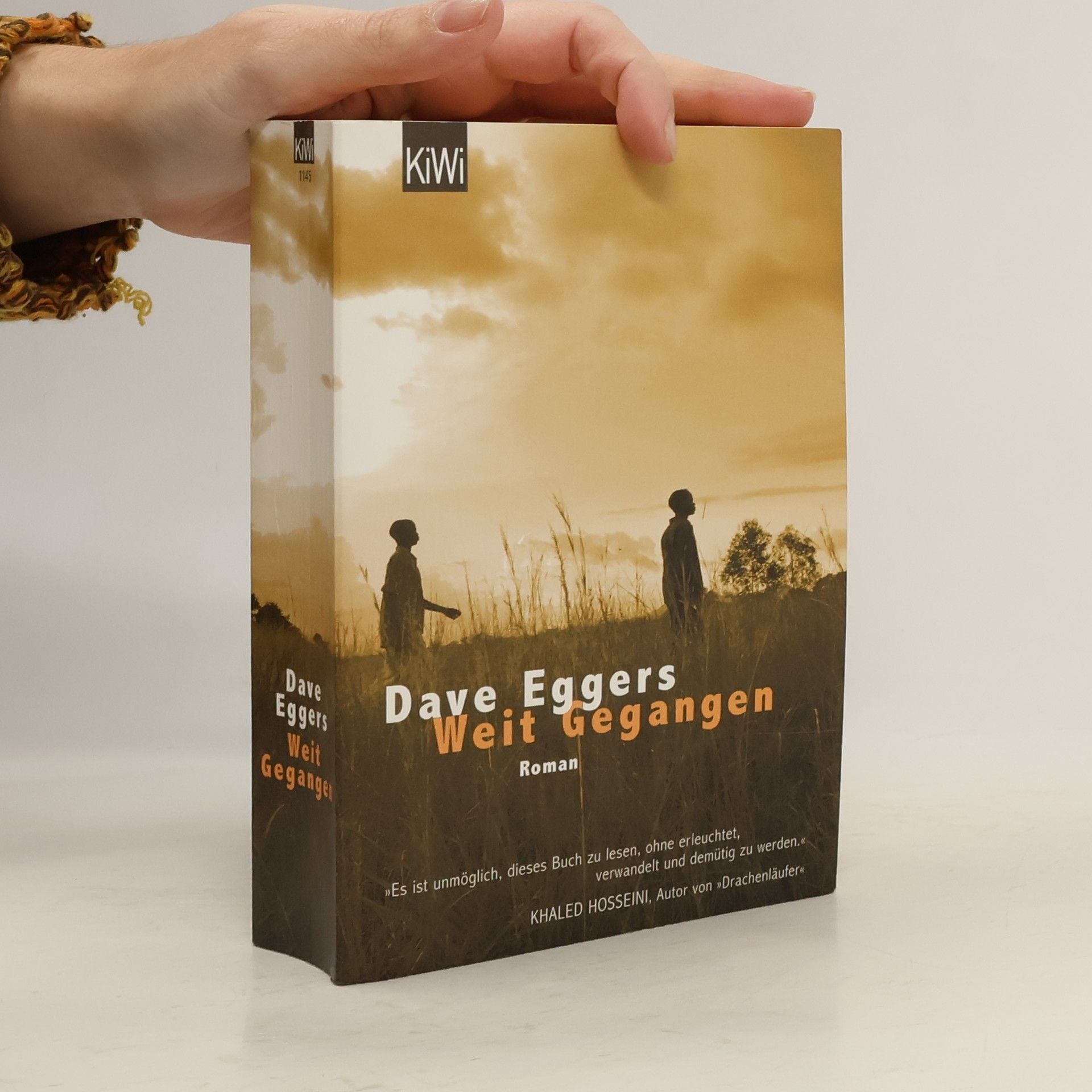 Dave Eggers Weit gegangen