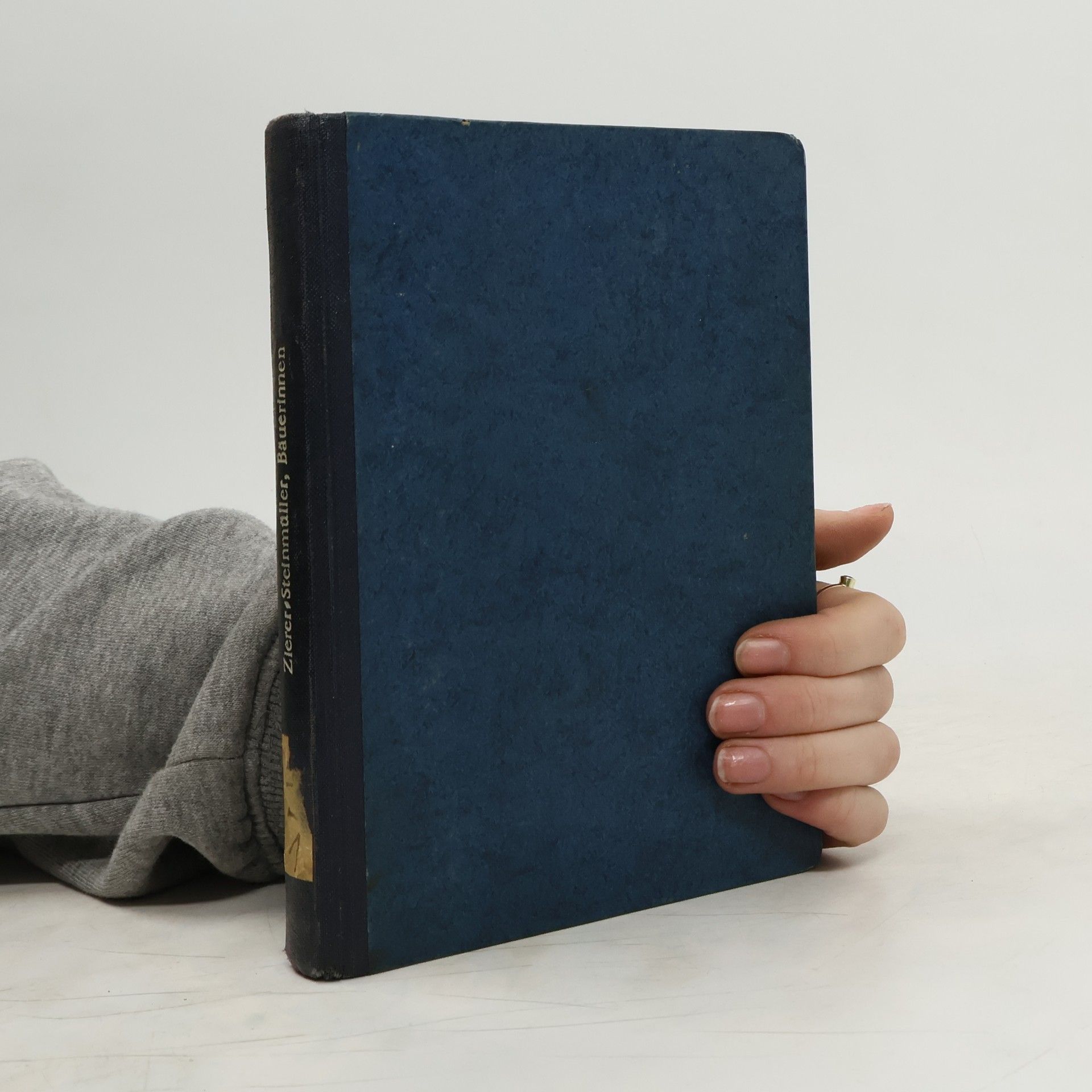 Maria Zierer-Steinmüller Die Bäuerinnen wom Waldeckhof