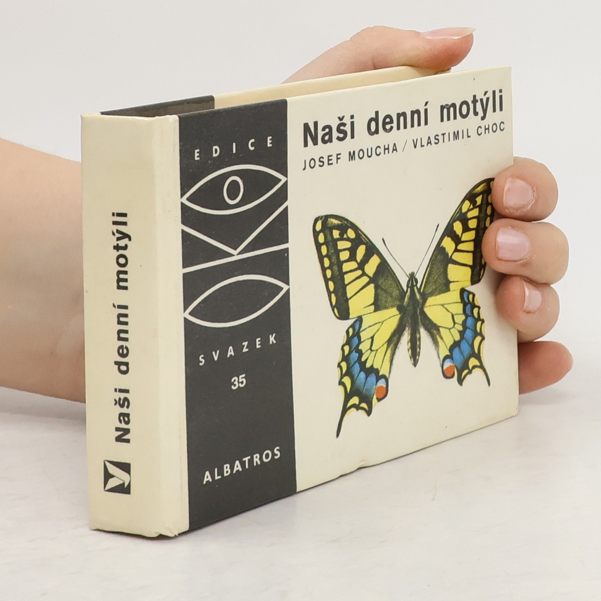 Naši denní motýli