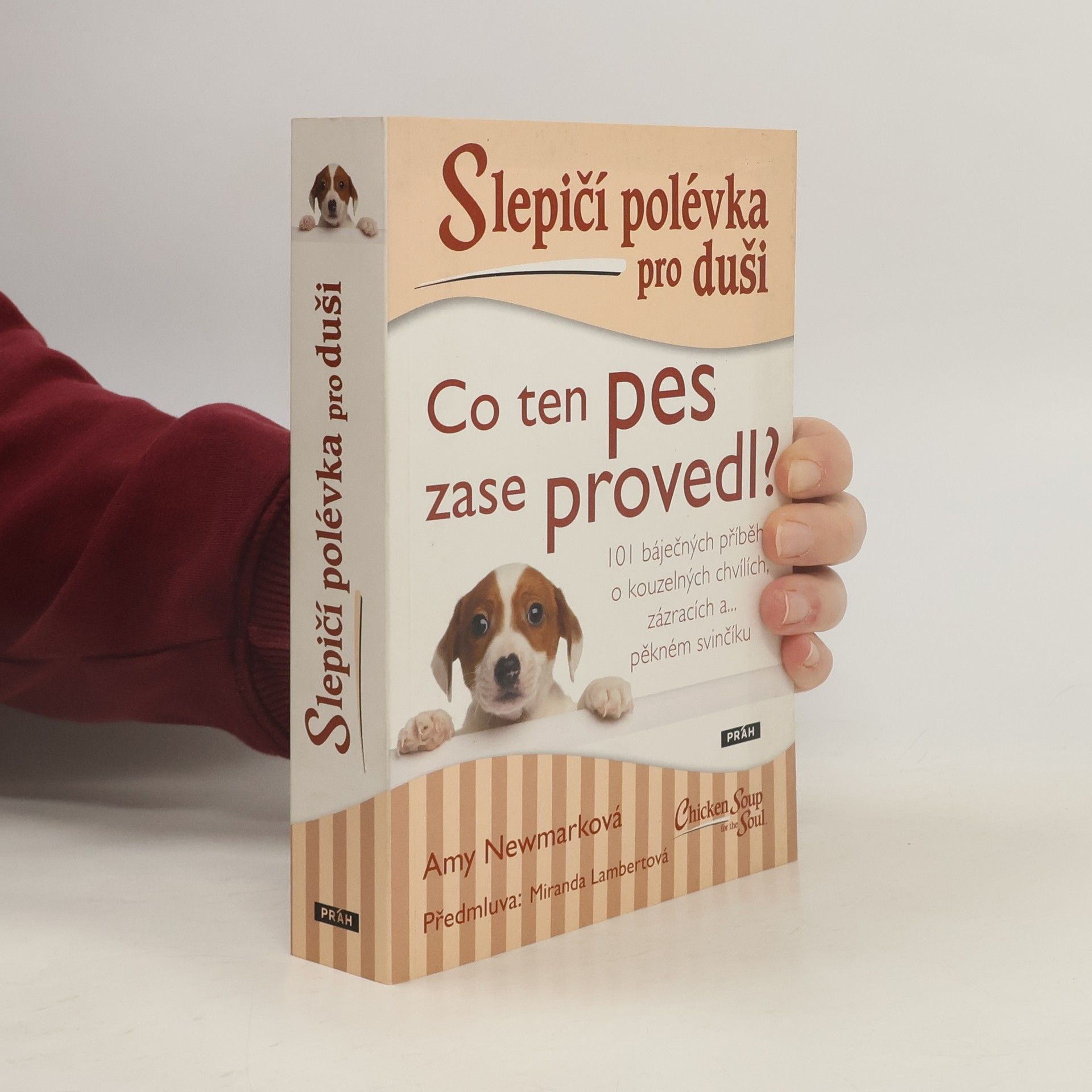 Slepičí polévka pro duši. Co ten pes zase provedl?