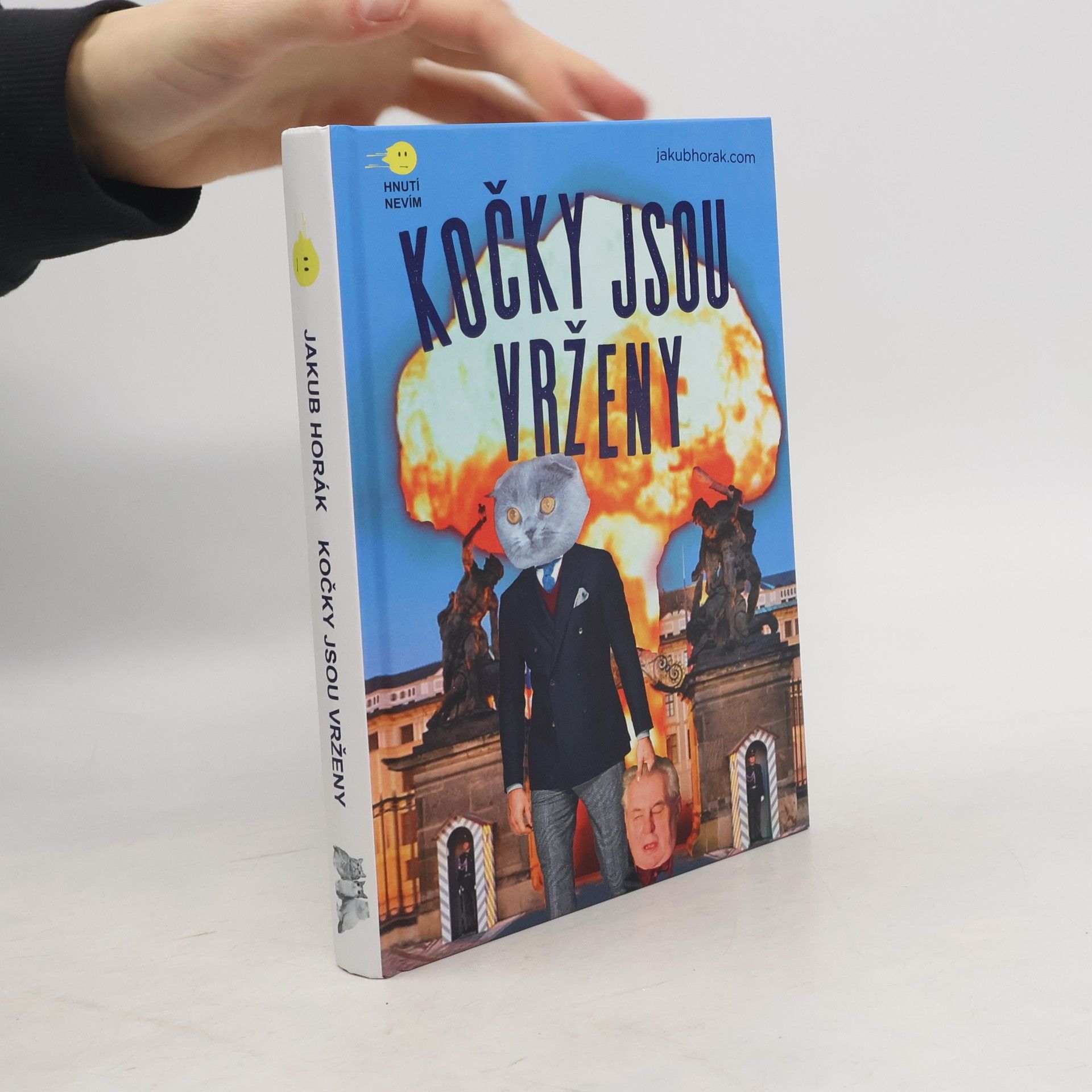Kočky jsou vrženy: Fantastický román