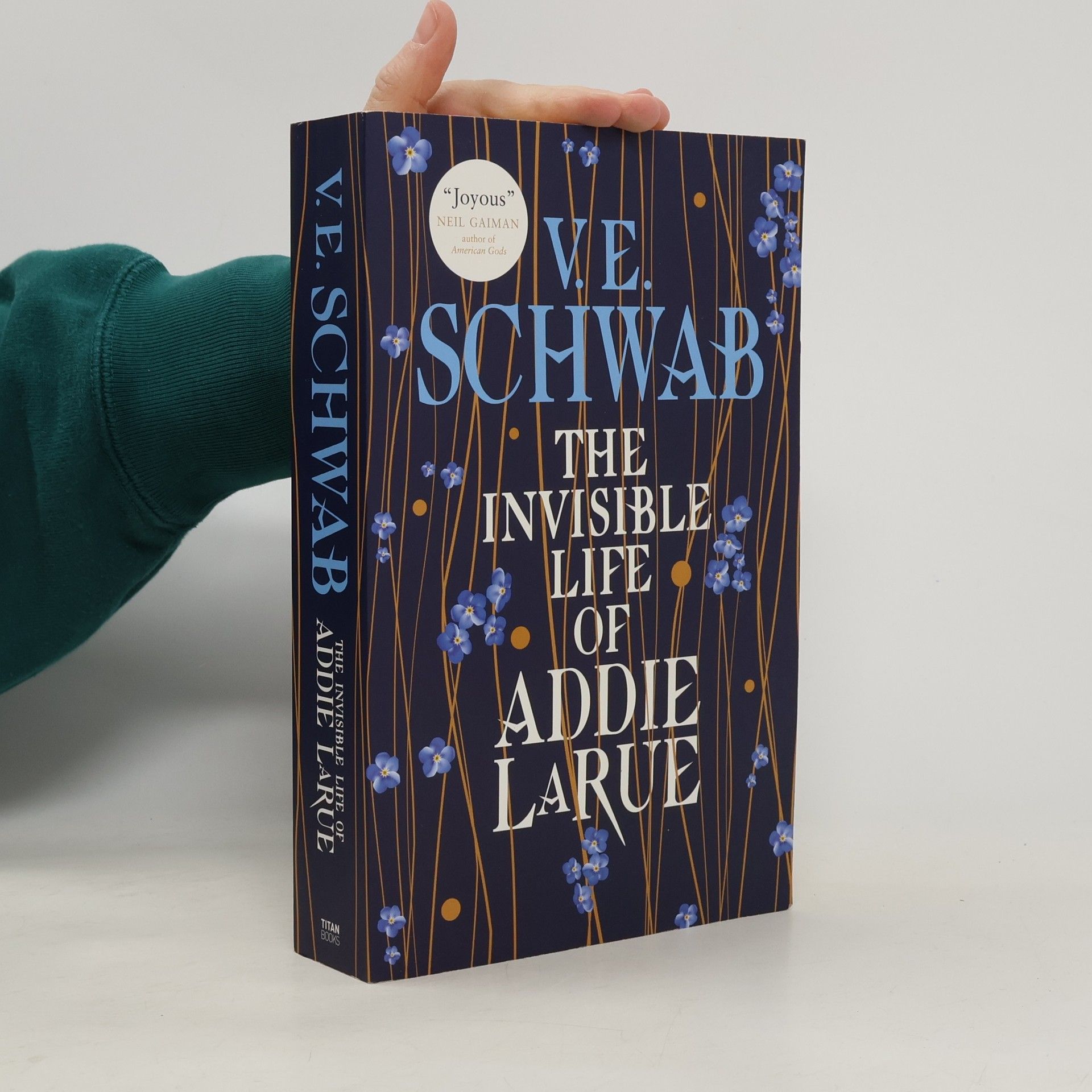 Victoria Schwab The Invisible Life of Addie Larue