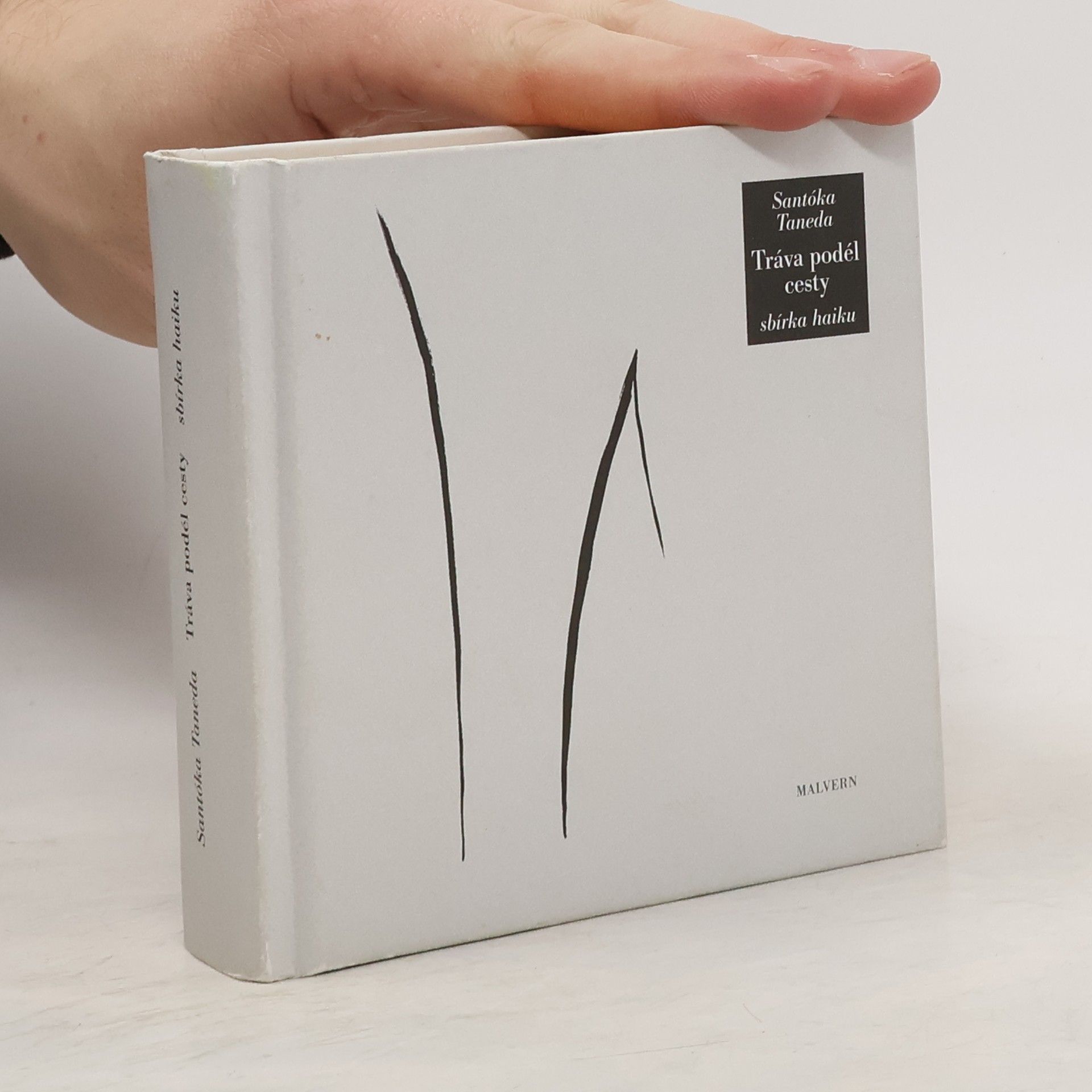 Santōka Taneda Tráva podél cesty. Sbírka haiku