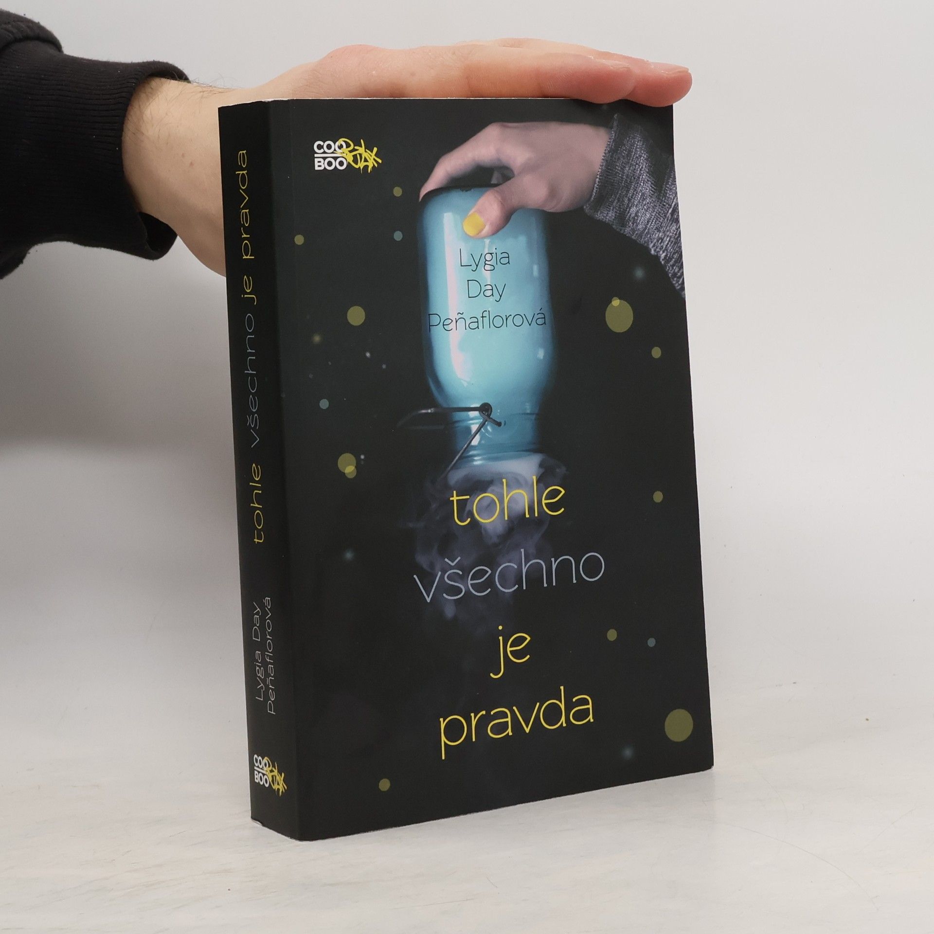 Lygia Day Peñaflor Tohle všechno je pravda