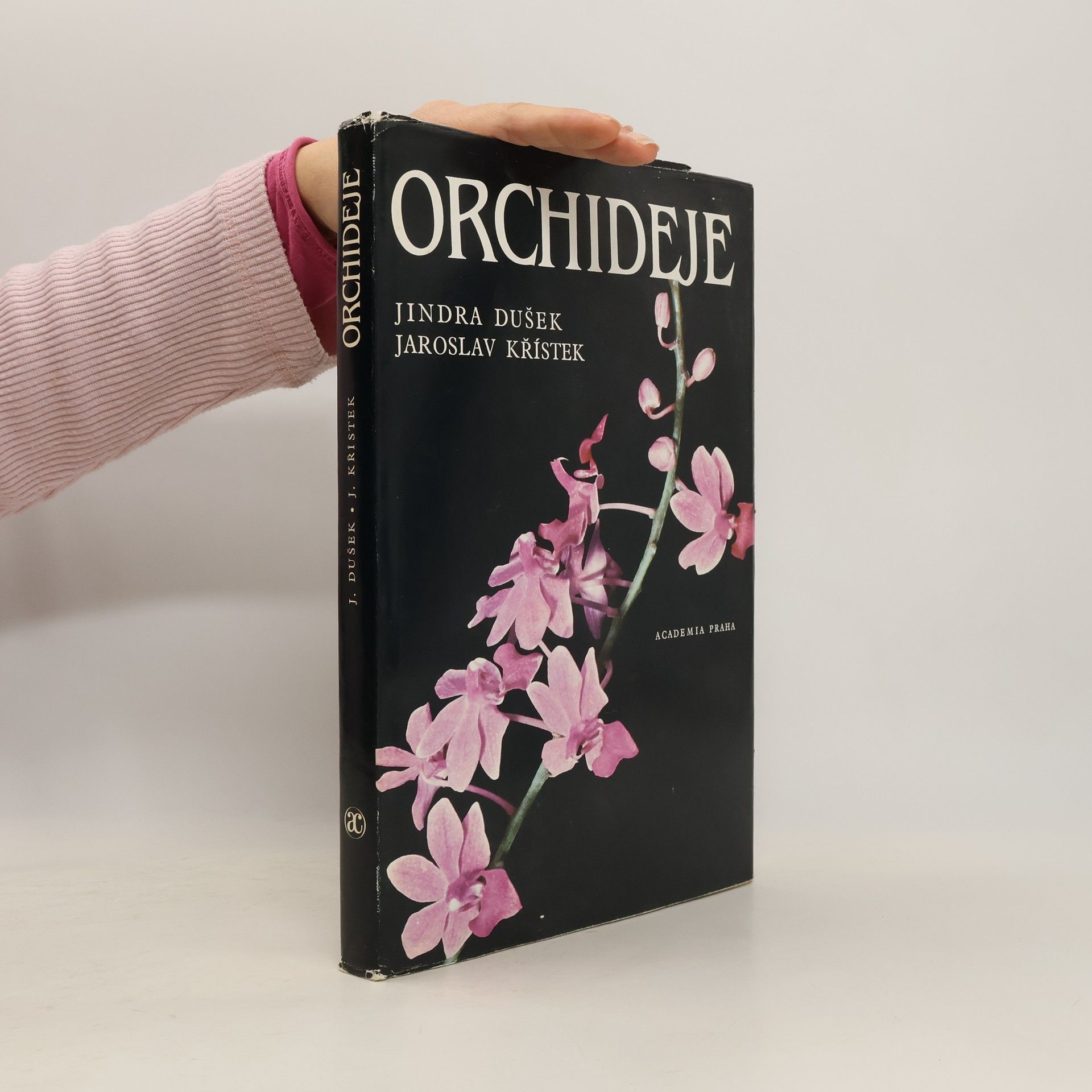 Jindra Dušek Orchideje