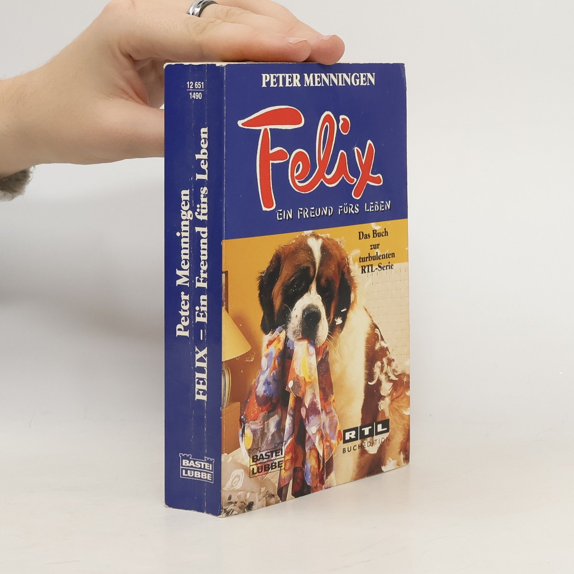 Felix, ein Freund fürs Leben. Roman zur Fernsehserie