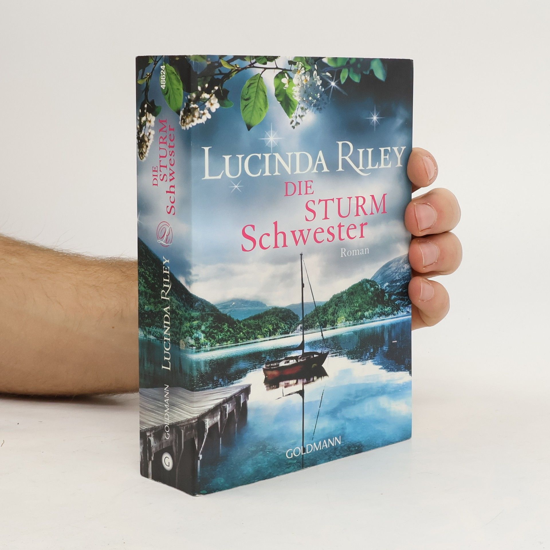 Lucinda Riley Die Sturmschwester