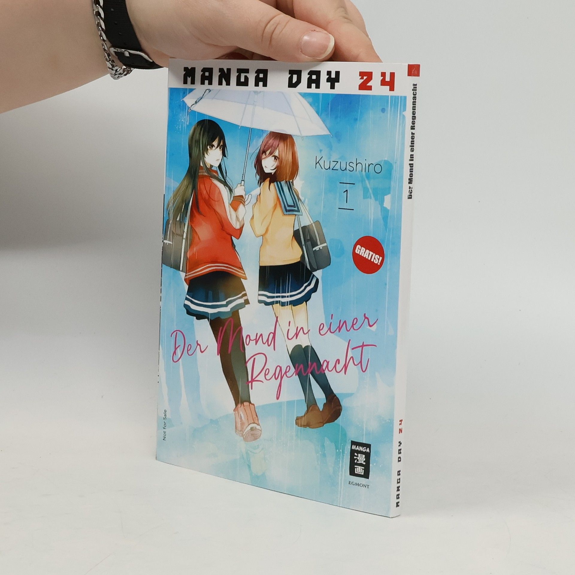 Der Mond in einer Regennacht 01