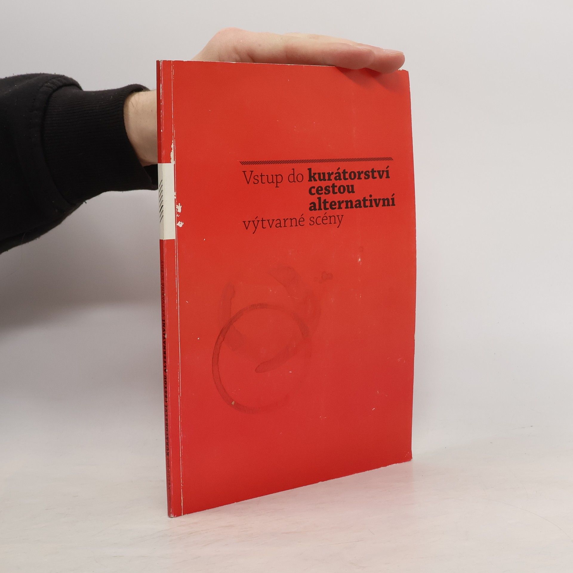 Vstup do kurátorství cestou alternativní výtvarné scény
