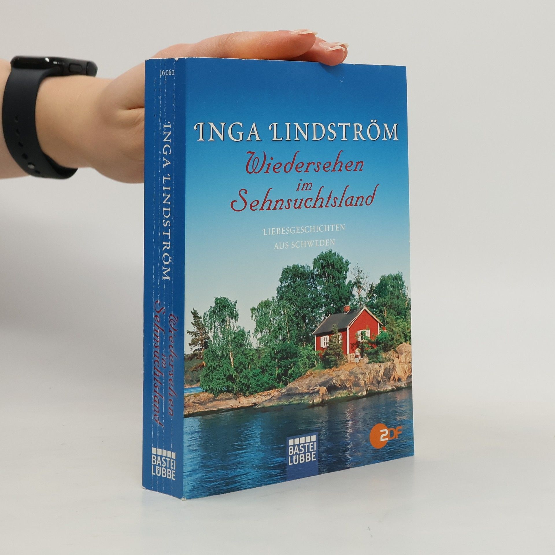 Inga Lindström Wiedersehen im Sehnsuchtsland