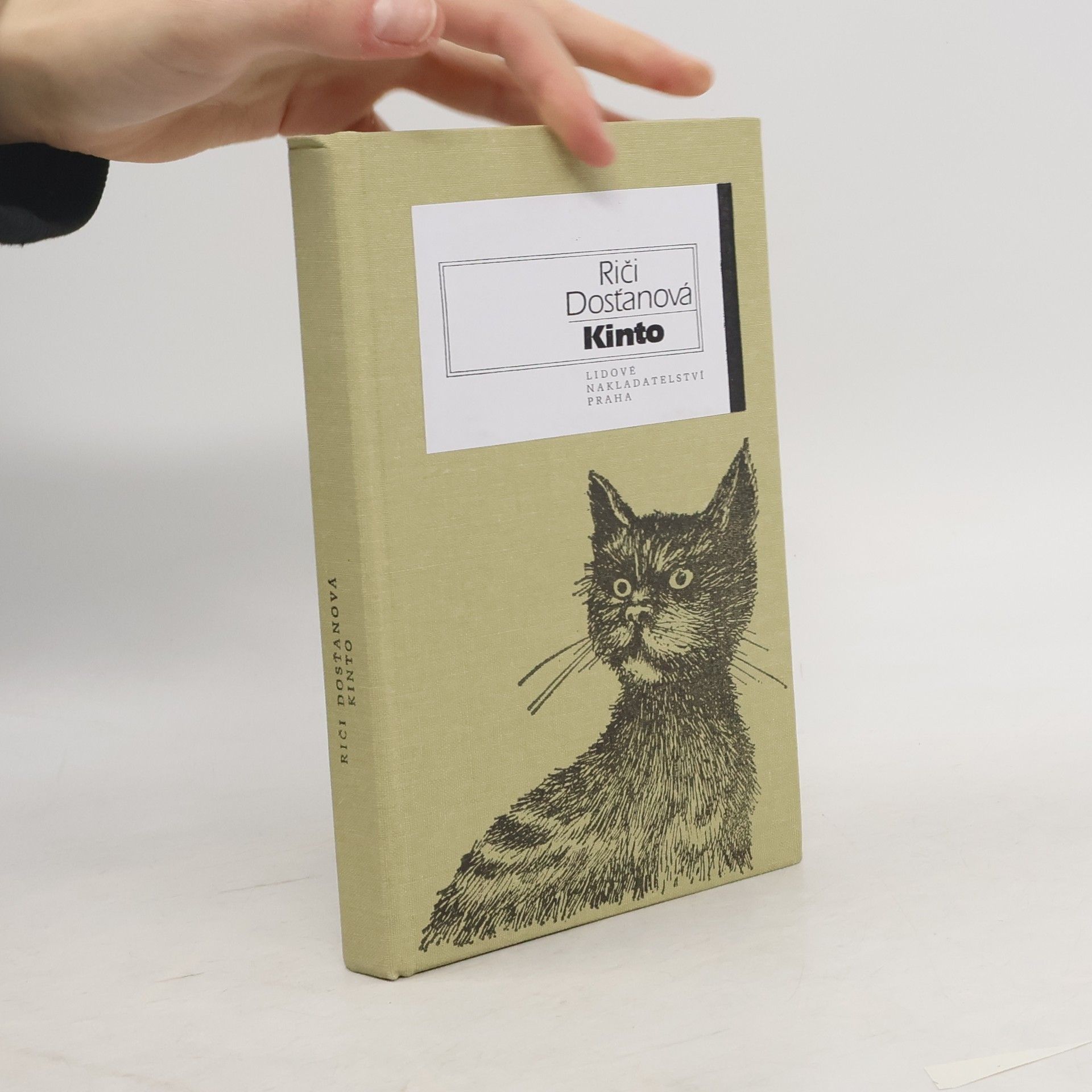 Riči Dosťanová Kinto