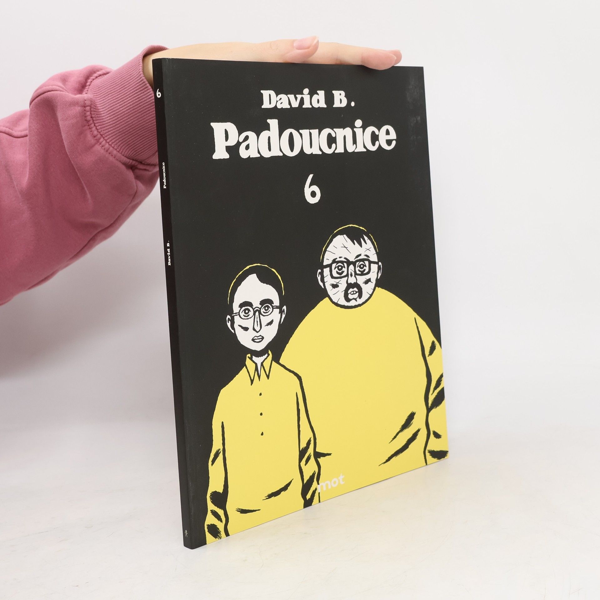 B. David Padoucnice 6