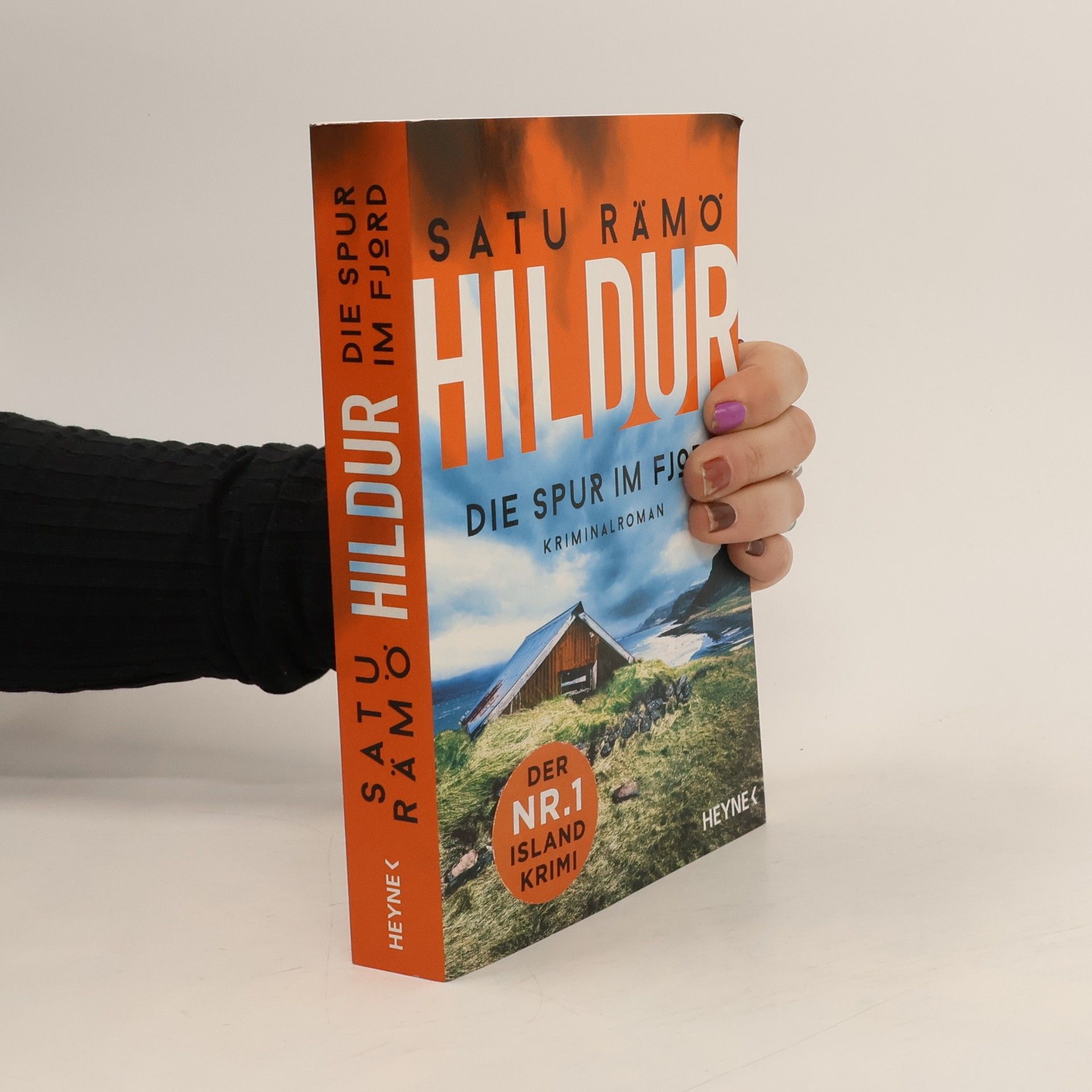 Satu Rämö Hildur. Die Spur im Fjord