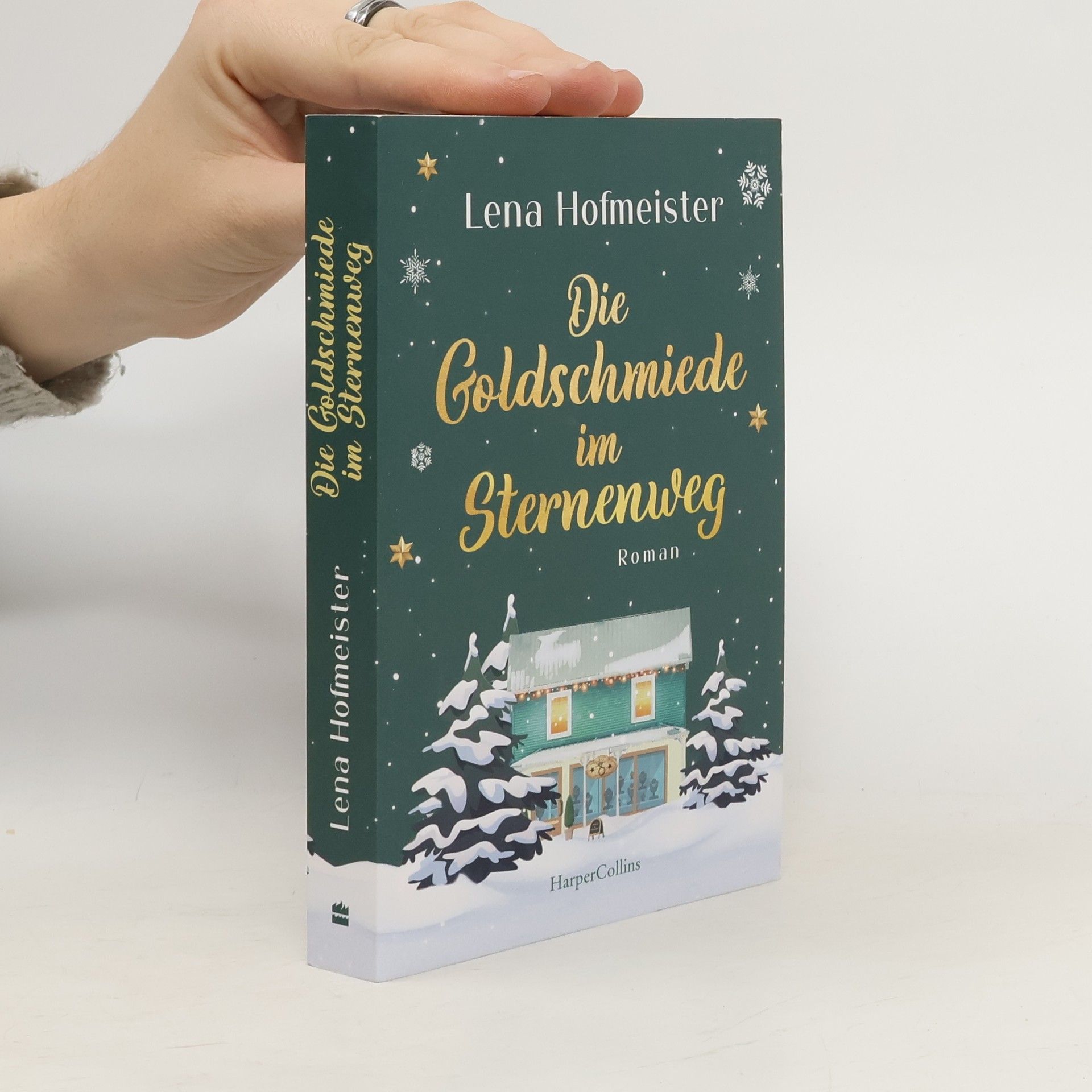 Lena Hofmeister Die Goldschmiede im Sternenweg