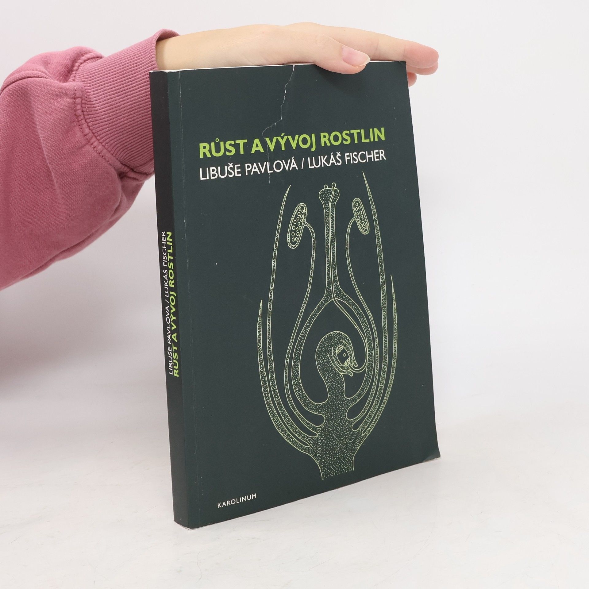 Libuše Pavlová Růst a vývoj rostlin