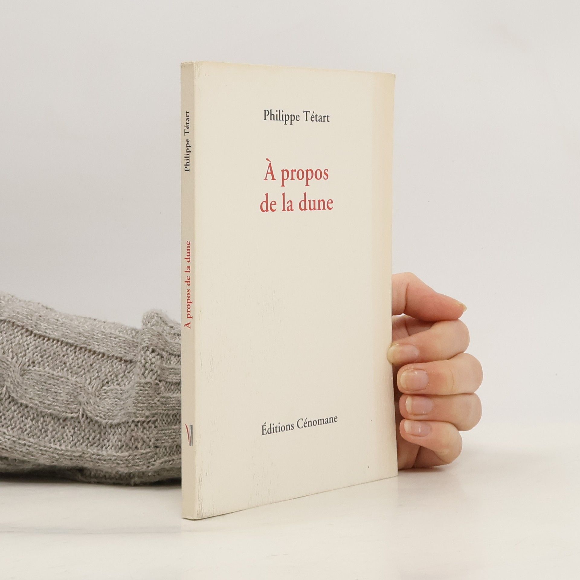 Philippe Tétart À propos de la dune